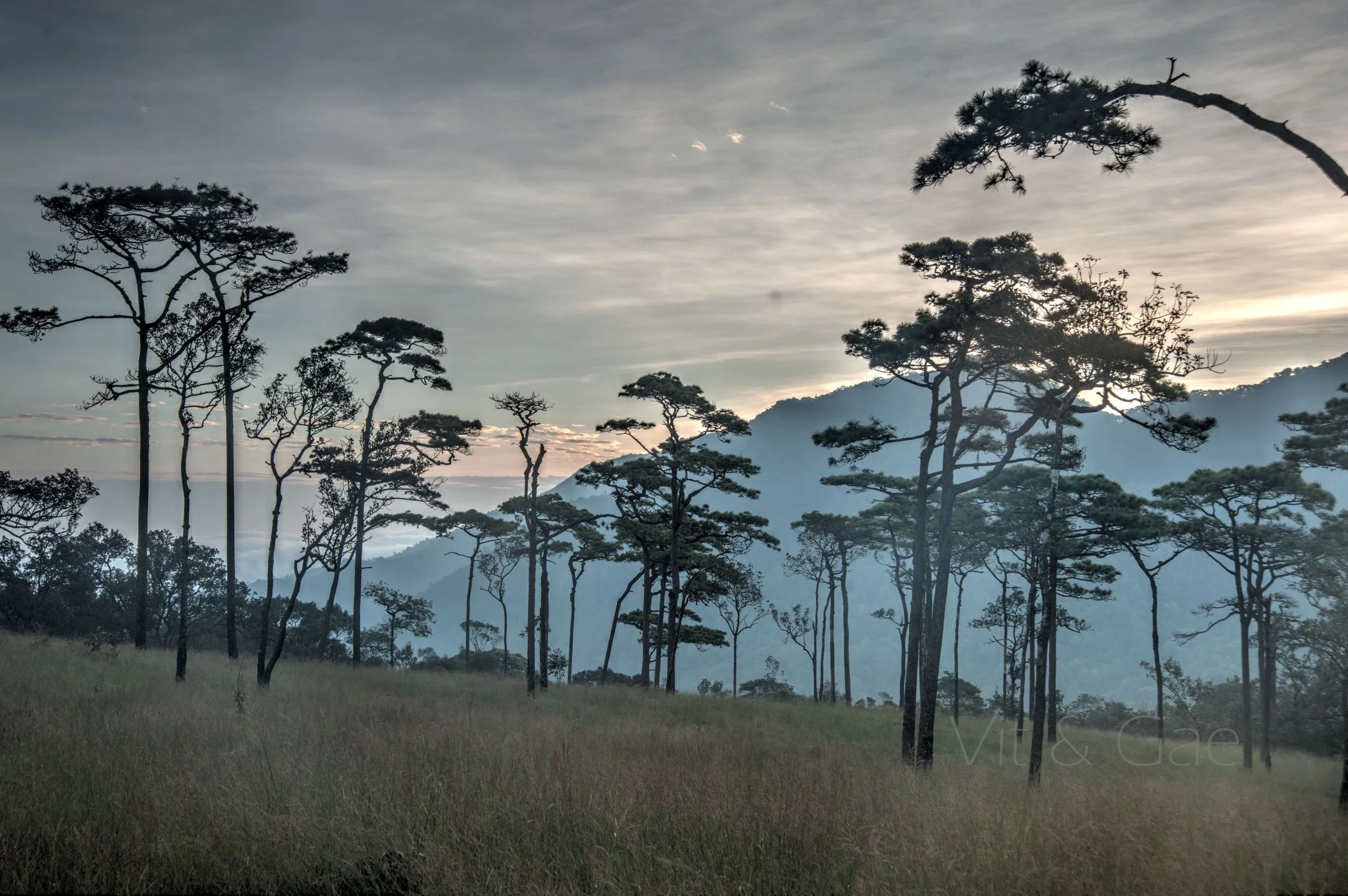 Phusoidao 2016-402_Resize.jpg