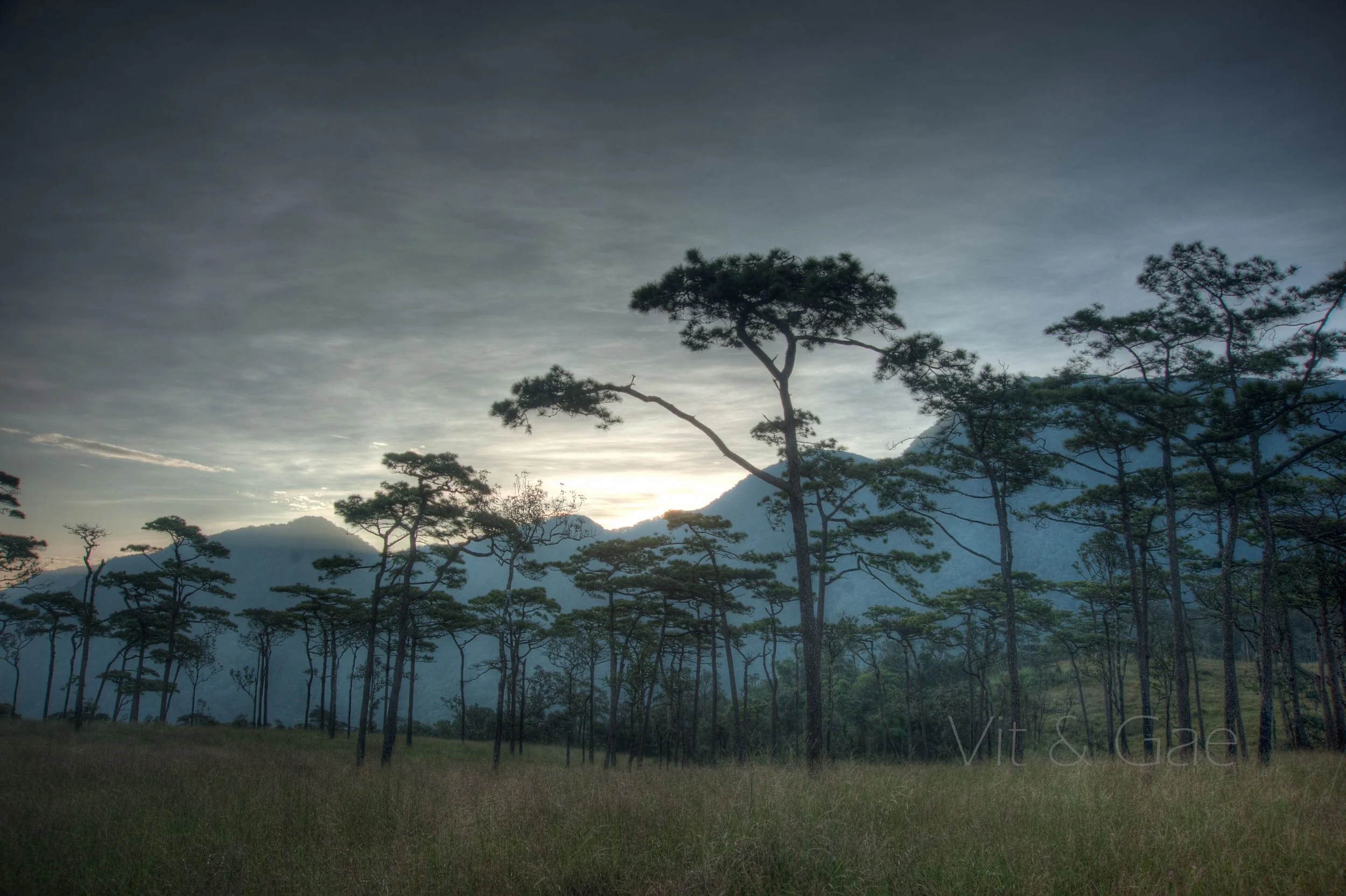 Phusoidao 2016-405_Resize.jpg