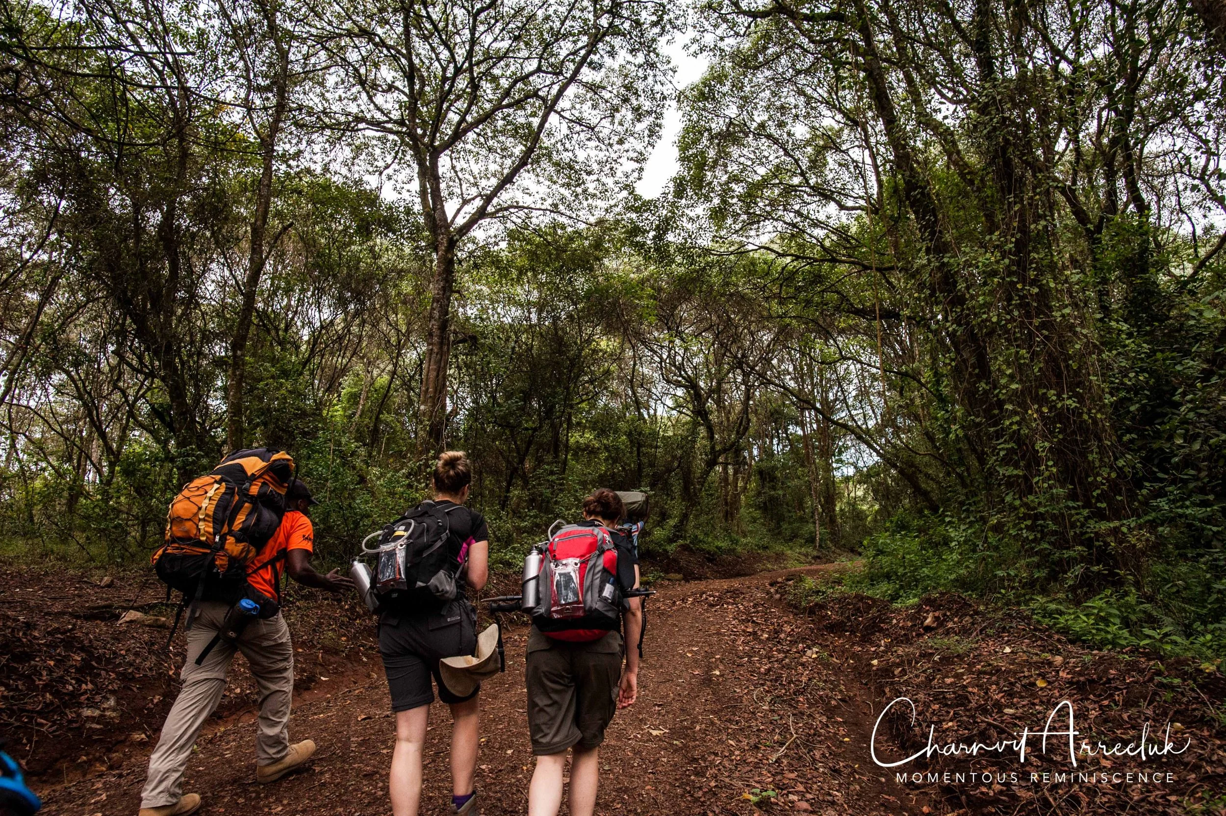 Kilimanjaro - Watermark-31_Resize.jpg