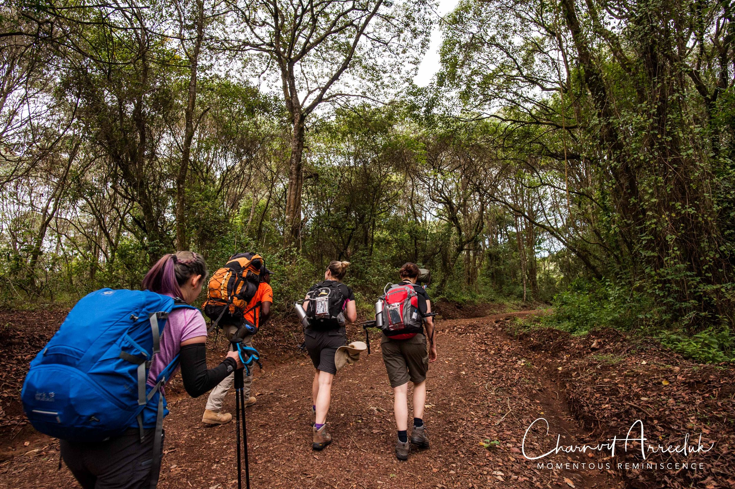 Kilimanjaro - Watermark-32_Resize.jpg