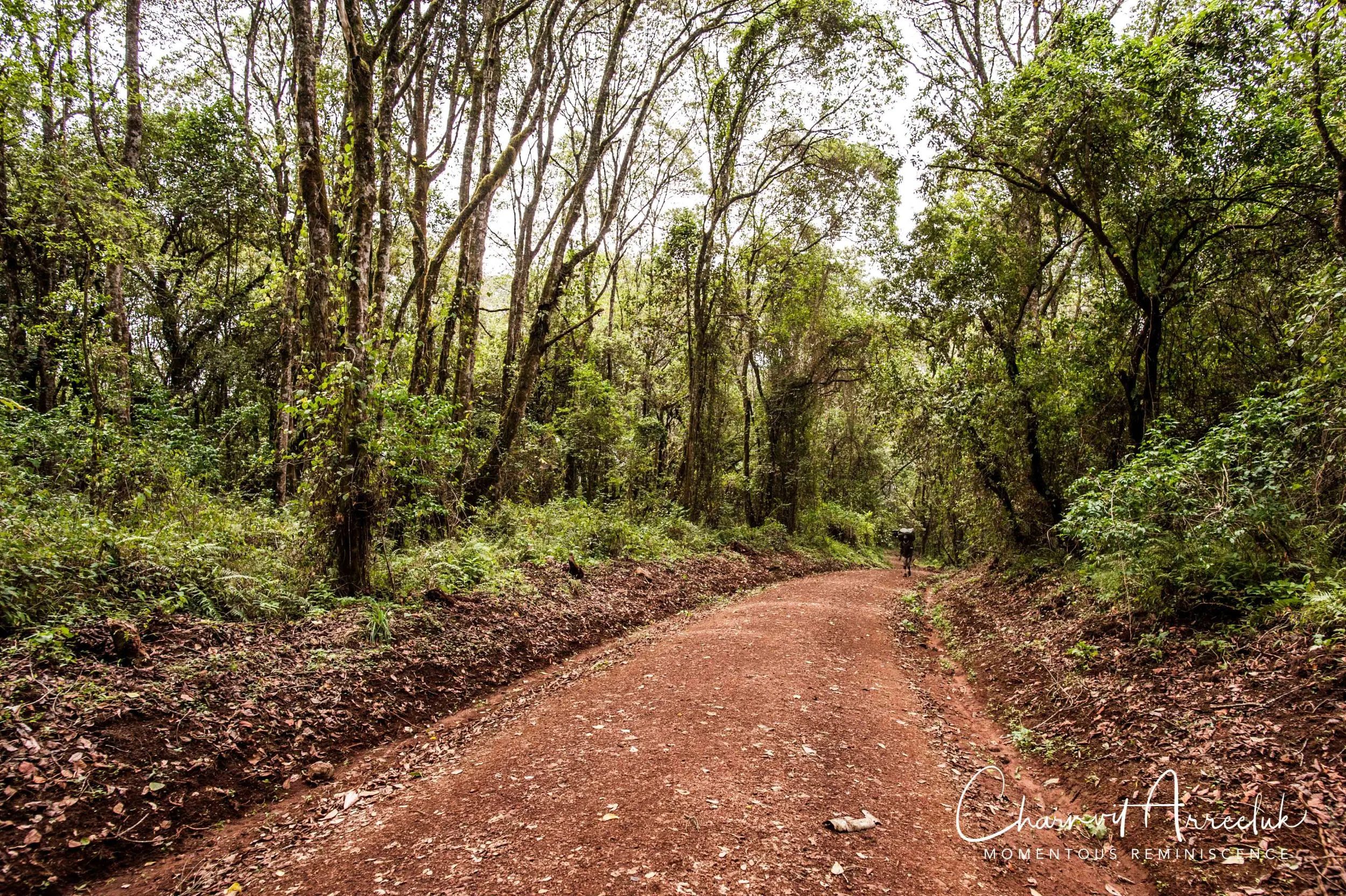 Kilimanjaro - Watermark-34_Resize.jpg