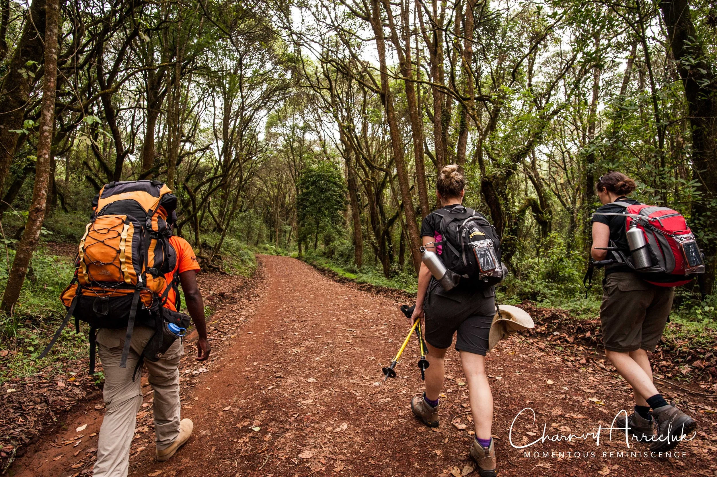 Kilimanjaro - Watermark-37_Resize.jpg