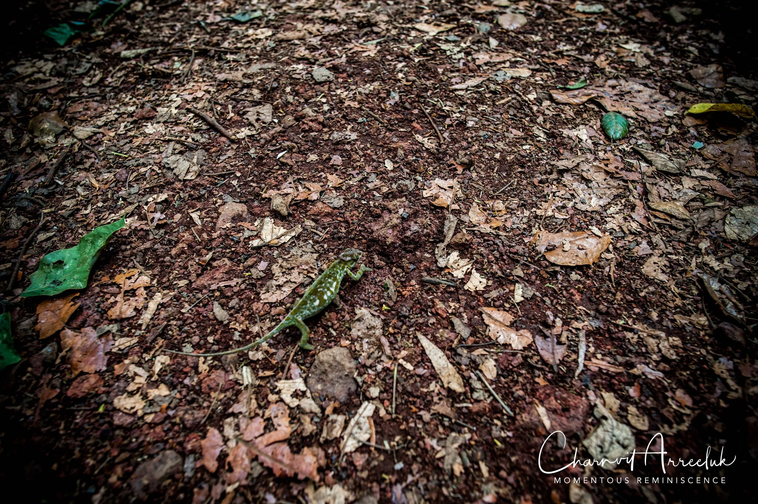 Kilimanjaro - Watermark-38_Resize.jpg