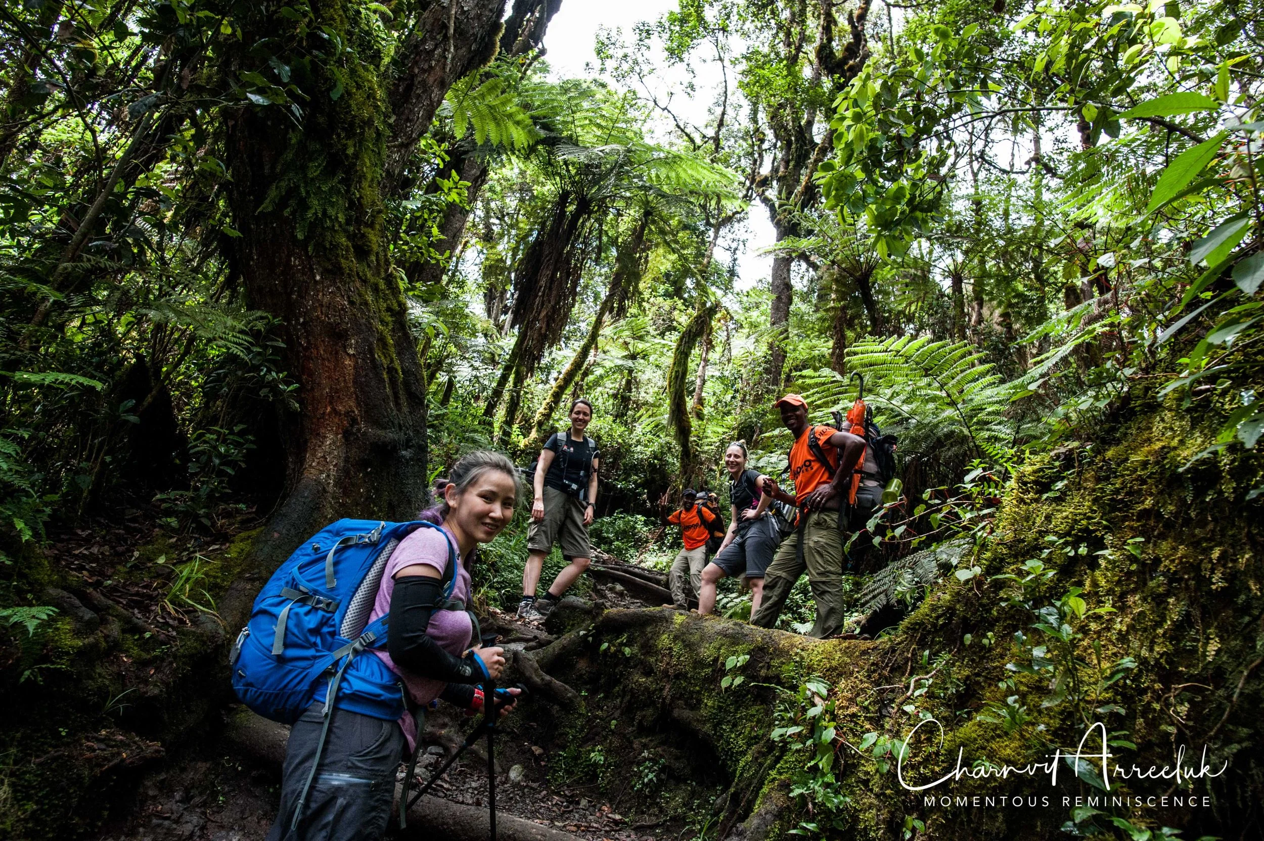 Kilimanjaro - Watermark-54_Resize.jpg