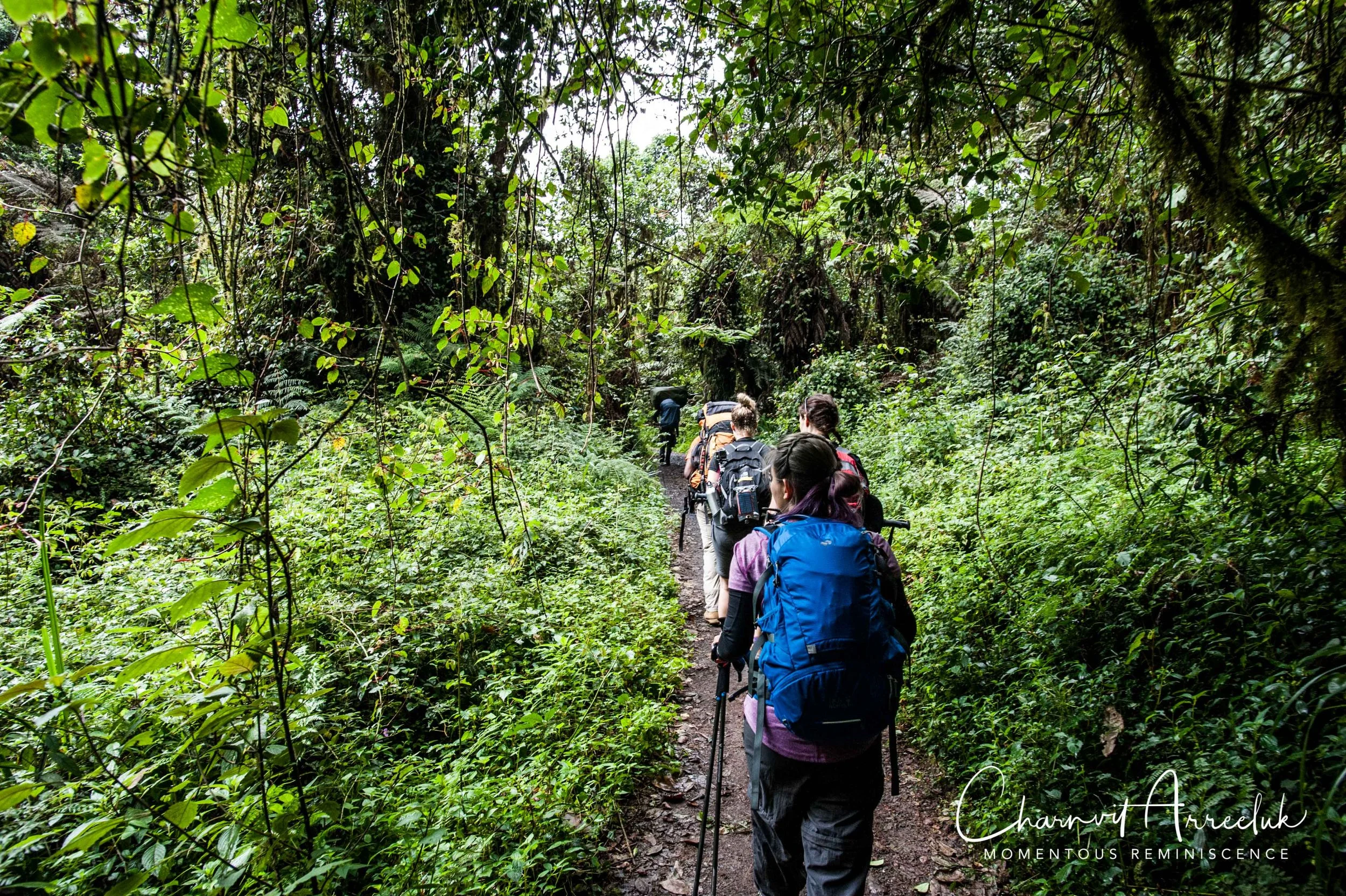 Kilimanjaro - Watermark-55_Resize.jpg