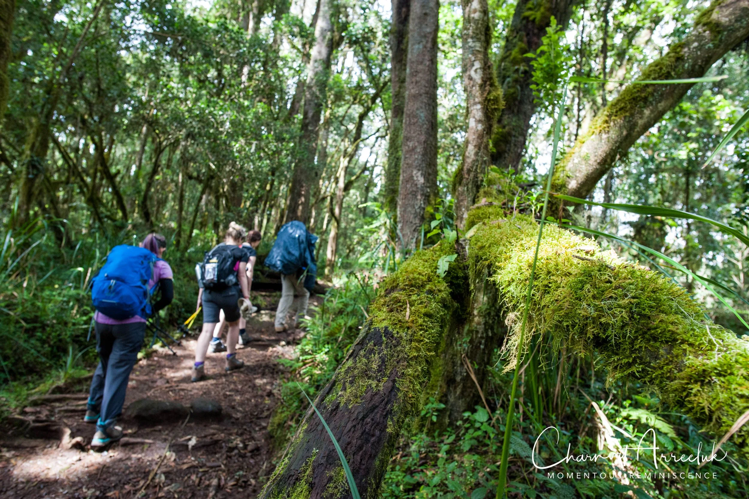 Kilimanjaro - Watermark-58_Resize.jpg