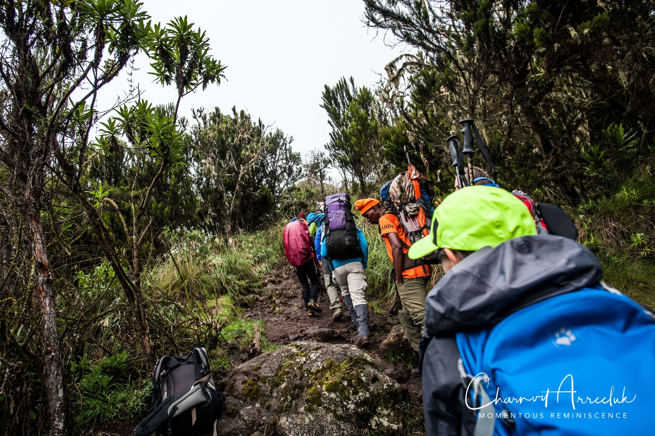 Kilimanjaro - Watermark-80_Resize.jpg