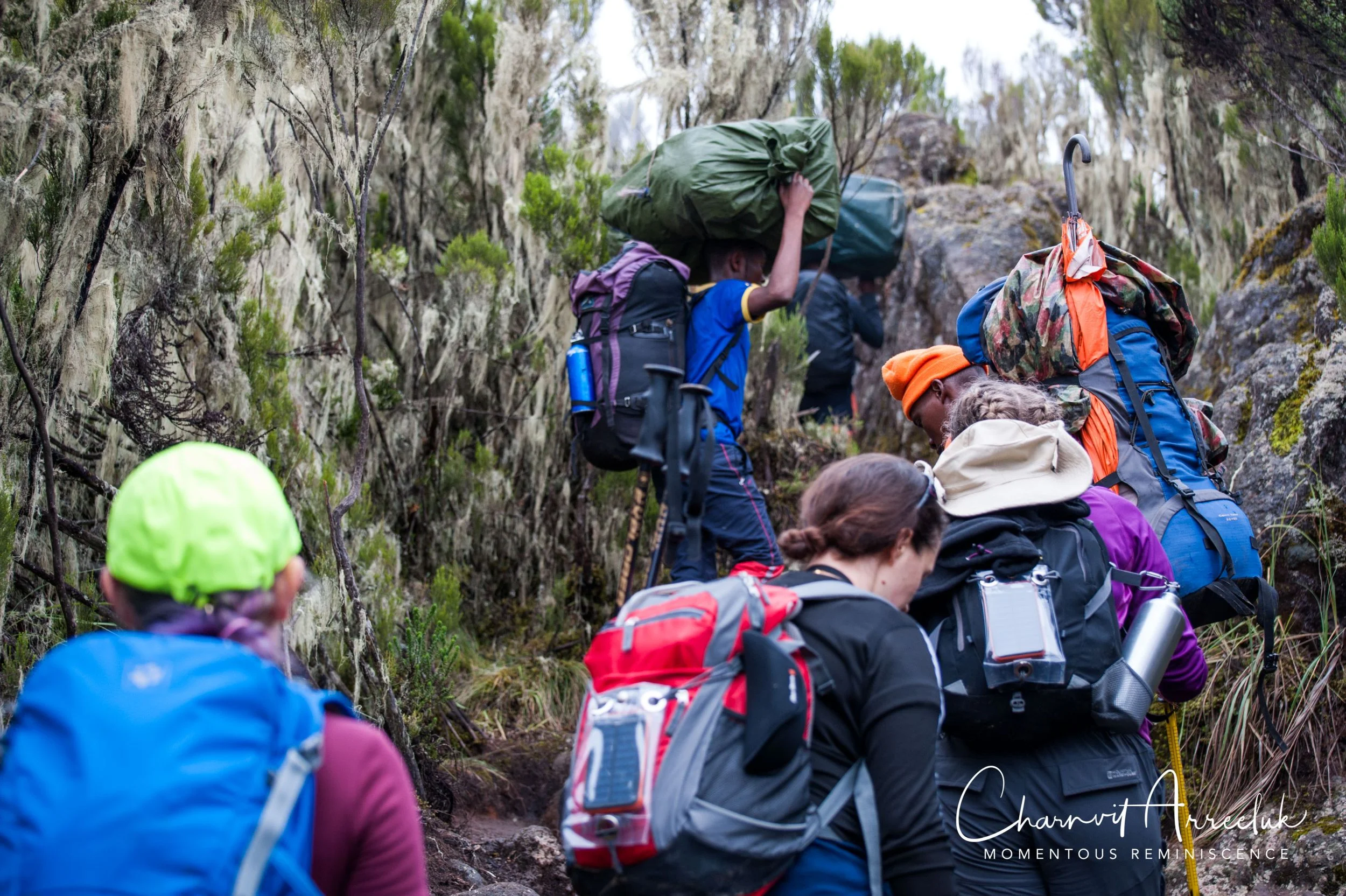 Kilimanjaro - Watermark-83_Resize.jpg
