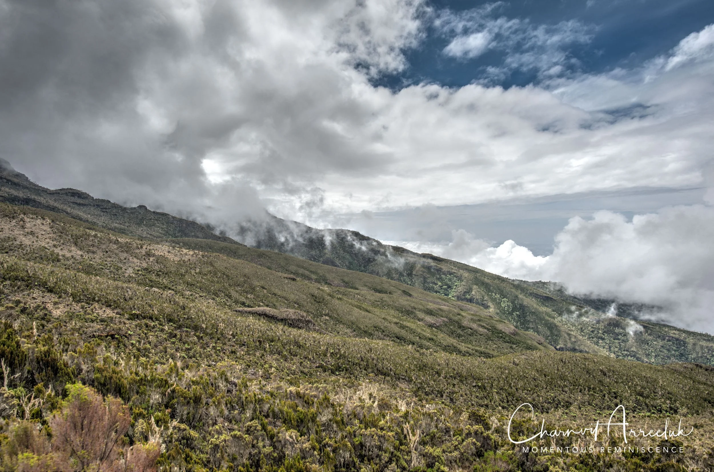 Kilimanjaro - Watermark-101_Resize.jpg