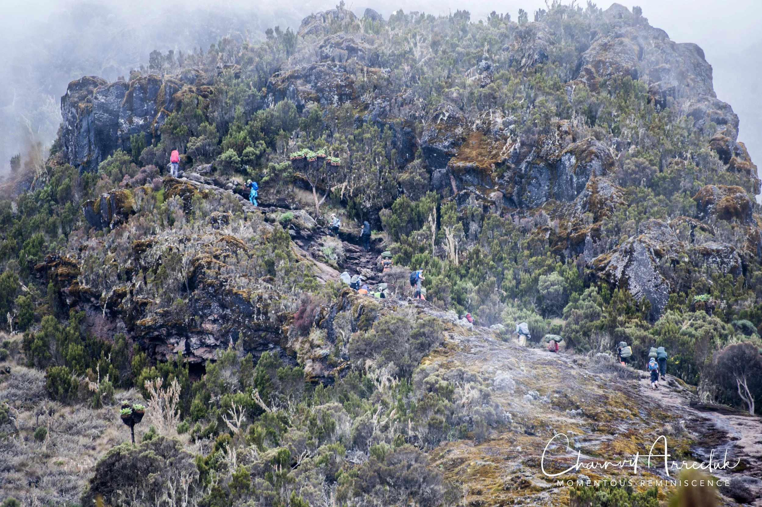 Kilimanjaro - Watermark-118_Resize.jpg