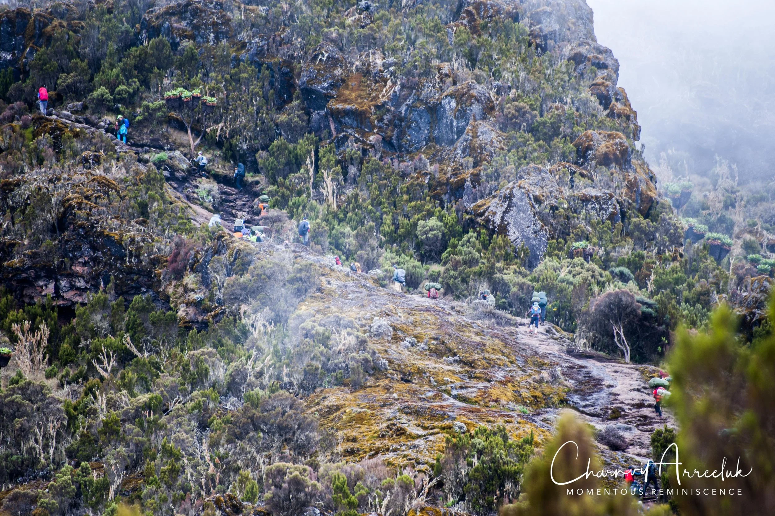 Kilimanjaro - Watermark-119_Resize.jpg