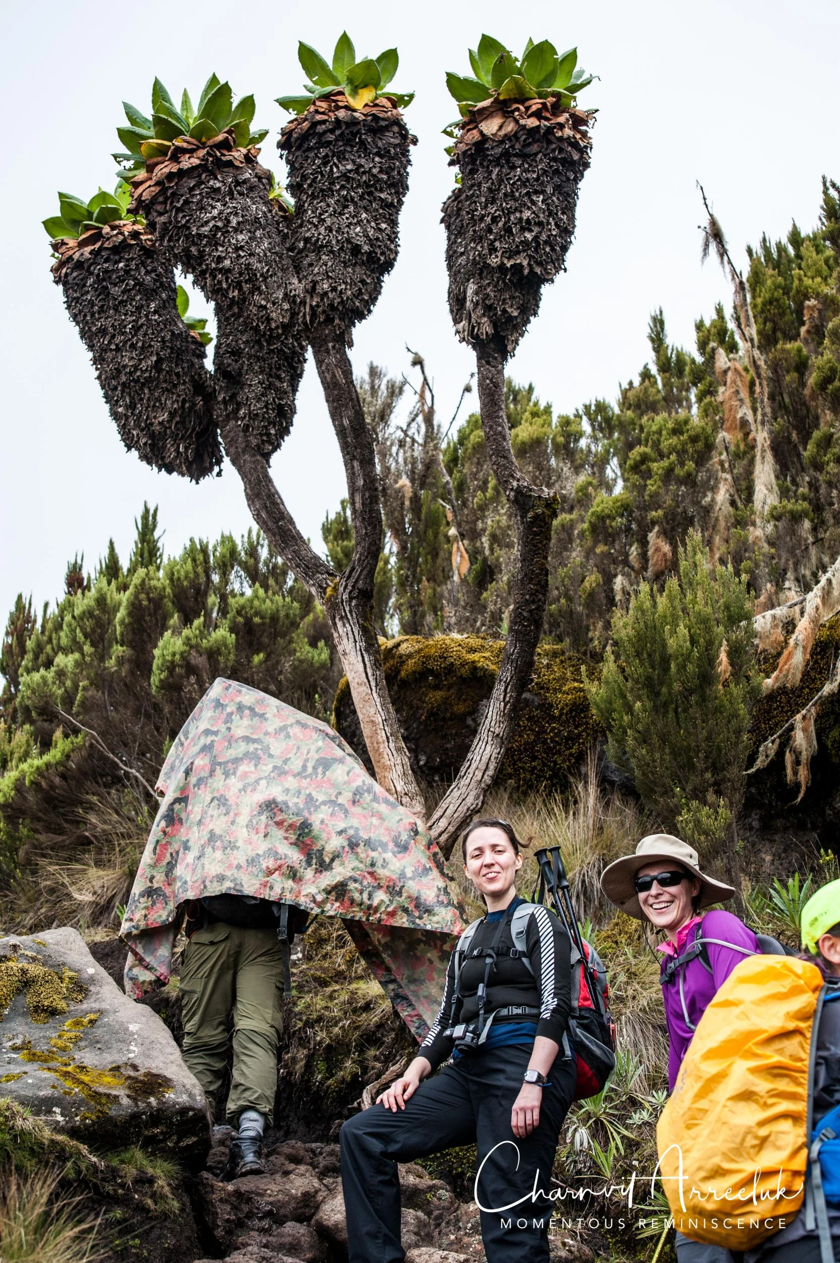 Kilimanjaro - Watermark-131_Resize.jpg