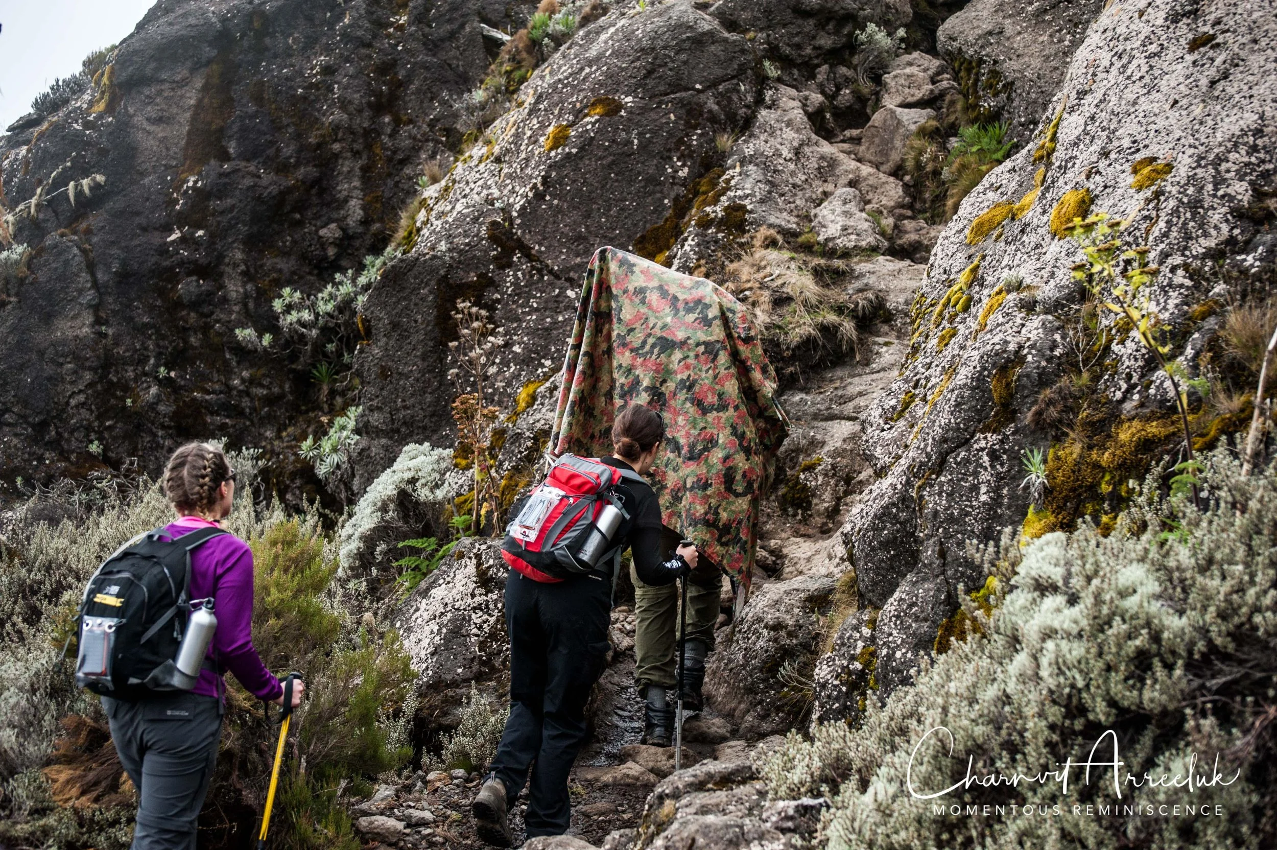 Kilimanjaro - Watermark-172_Resize.jpg