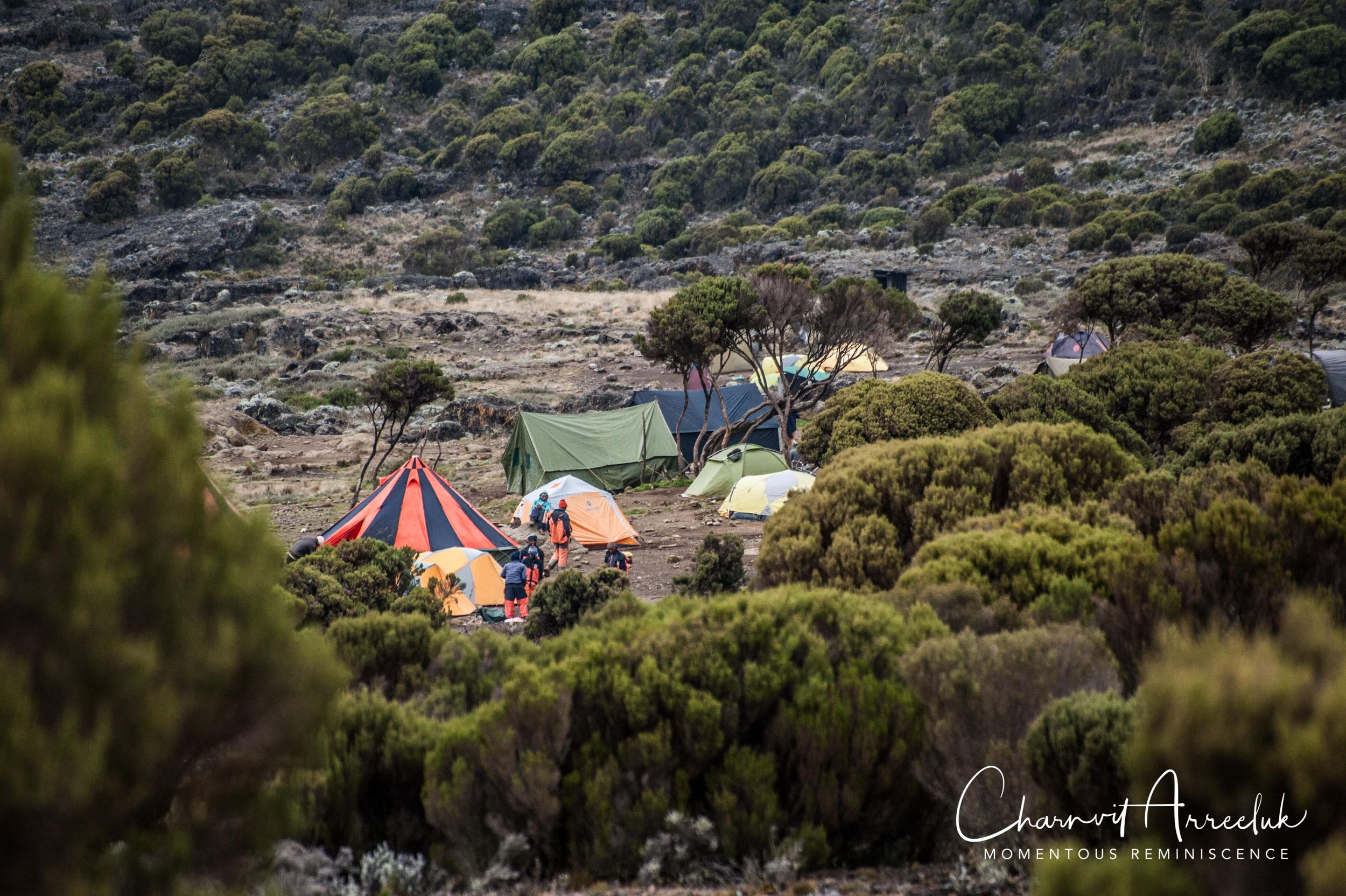 Kilimanjaro - Watermark-189_Resize.jpg