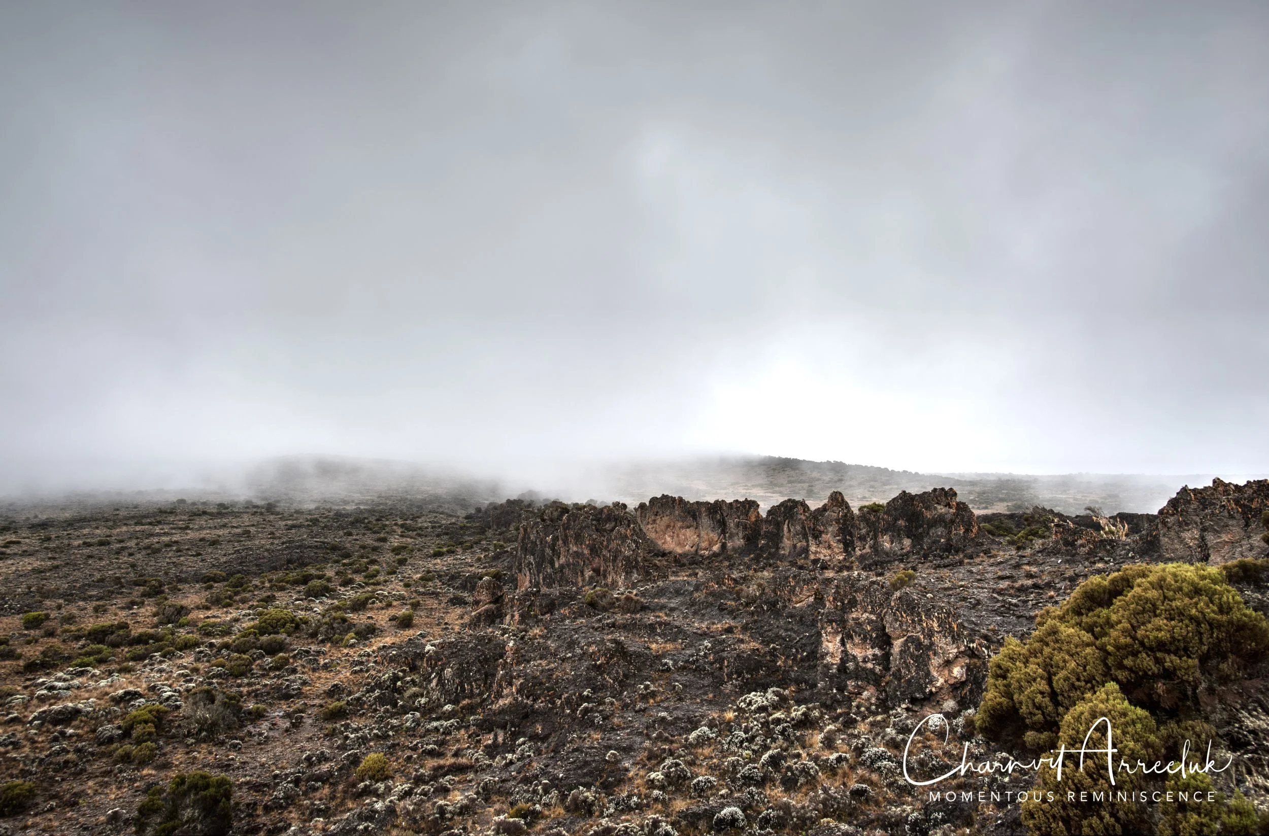 Kilimanjaro - Watermark-204_Resize.jpg