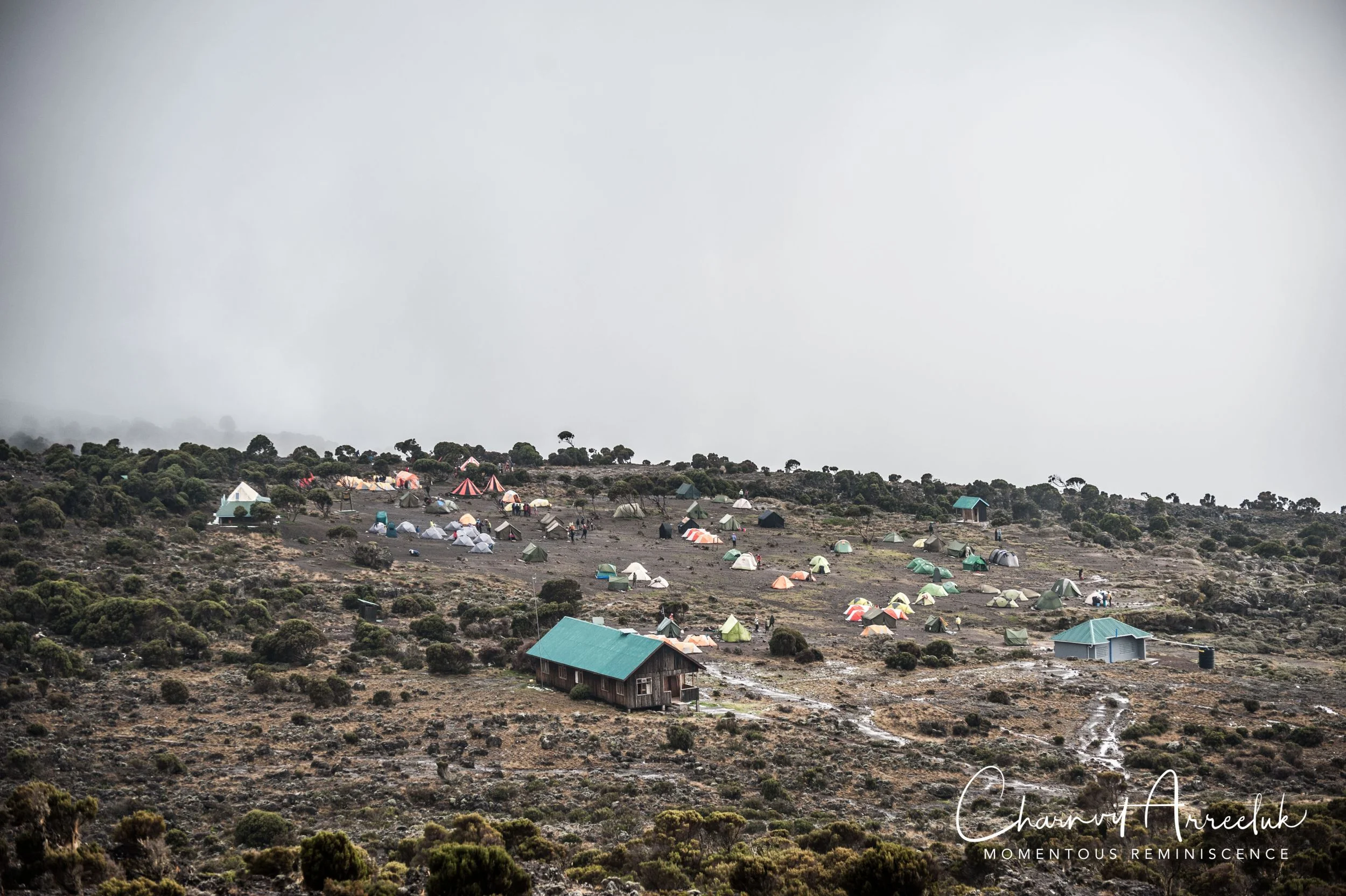 Kilimanjaro - Watermark-216_Resize.jpg