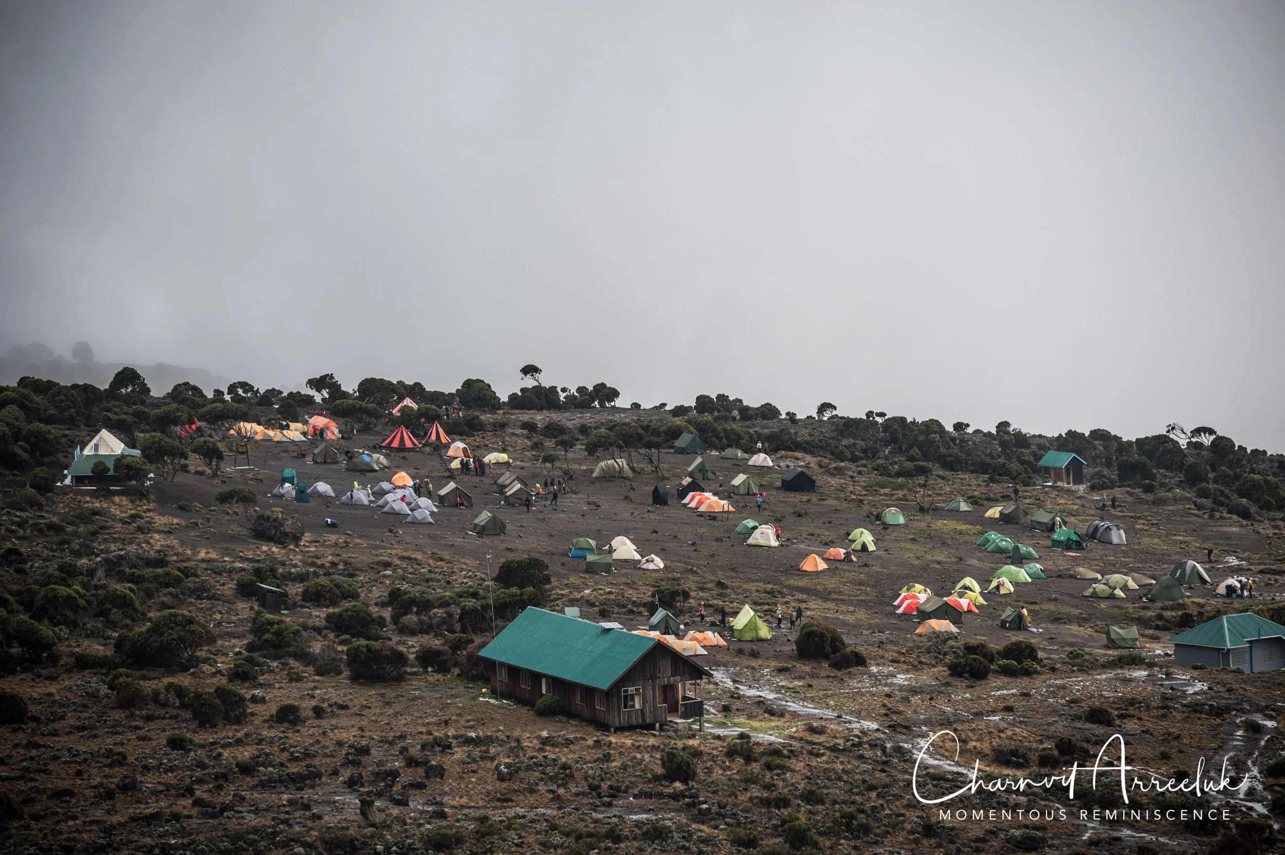 Kilimanjaro - Watermark-217_Resize.jpg