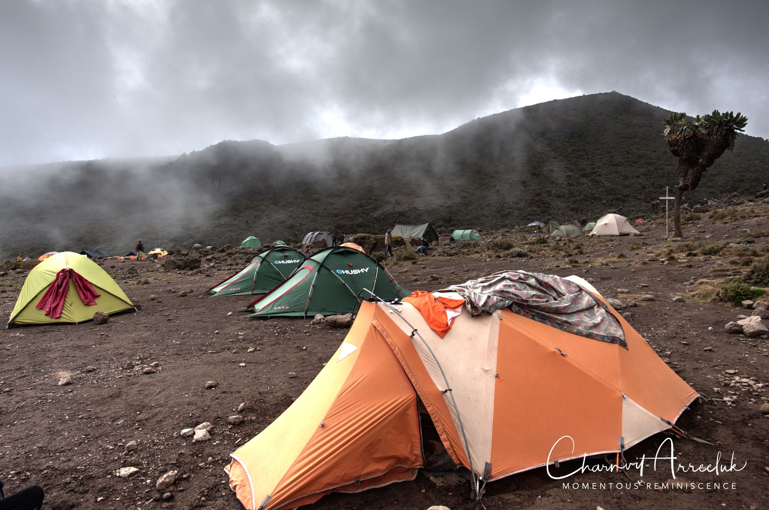 Kilimanjaro - Watermark-318_Resize.jpg