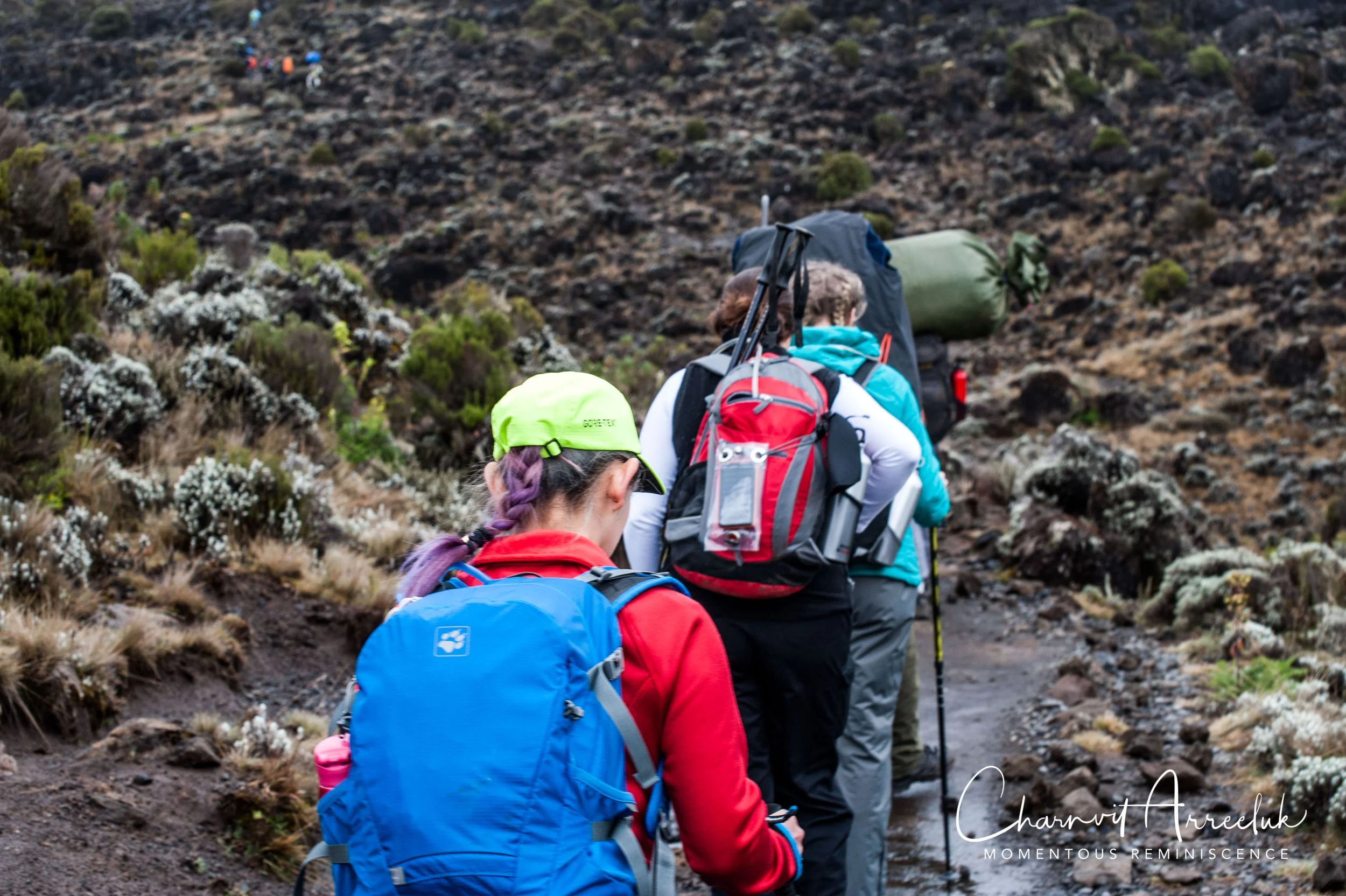 Kilimanjaro - Watermark-259_Resize.jpg