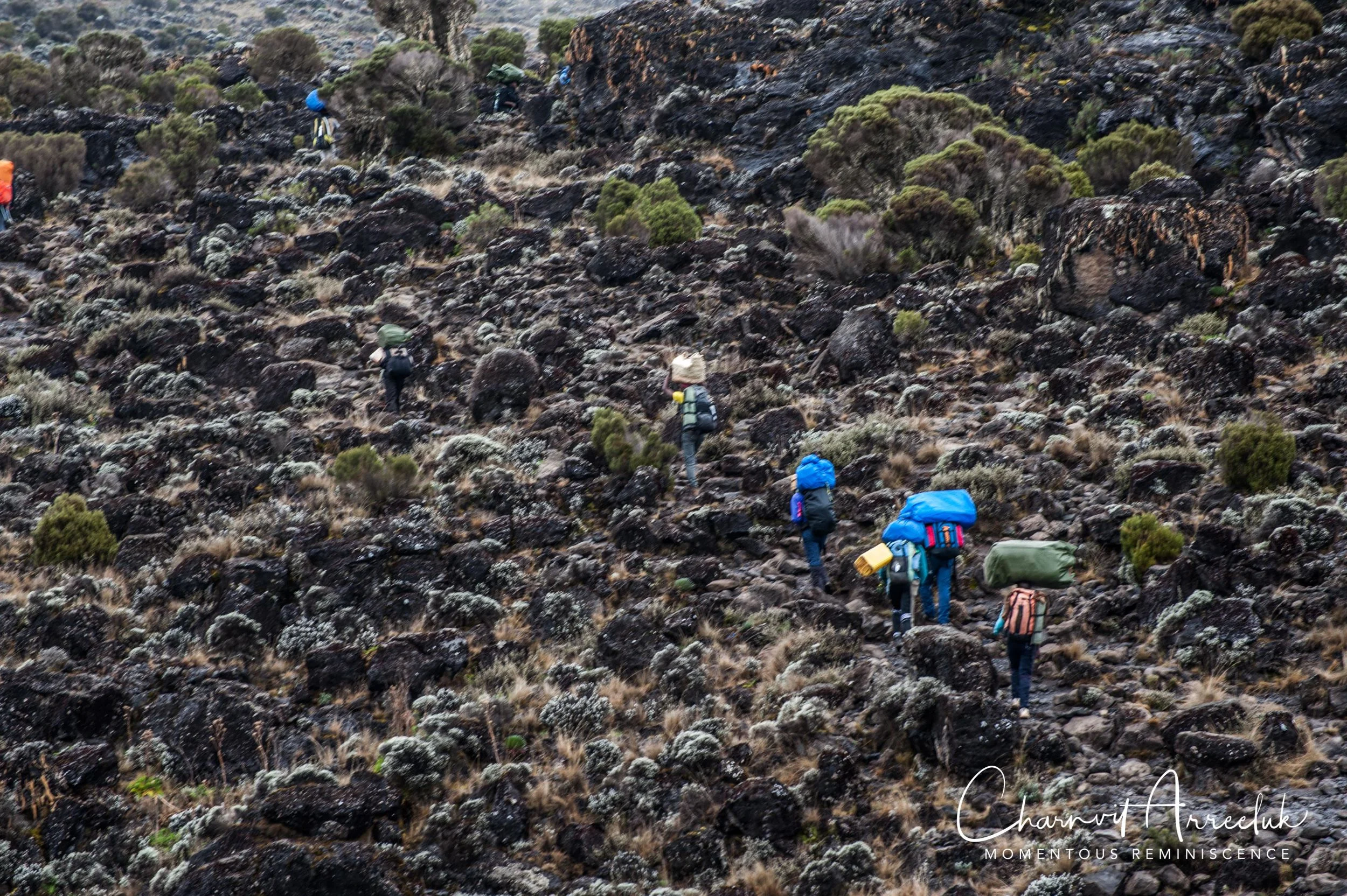 Kilimanjaro - Watermark-260_Resize.jpg
