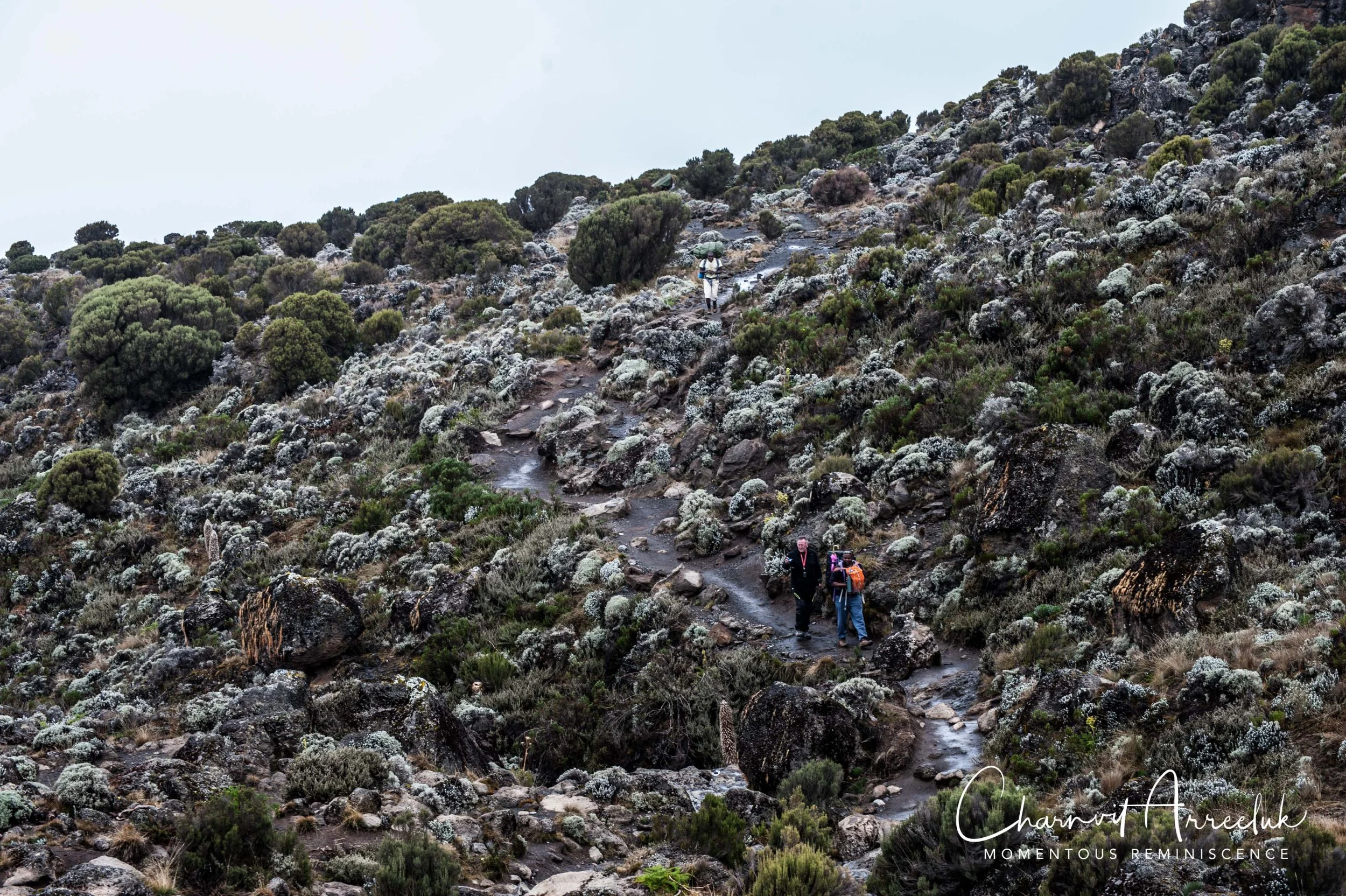 Kilimanjaro - Watermark-261_Resize.jpg