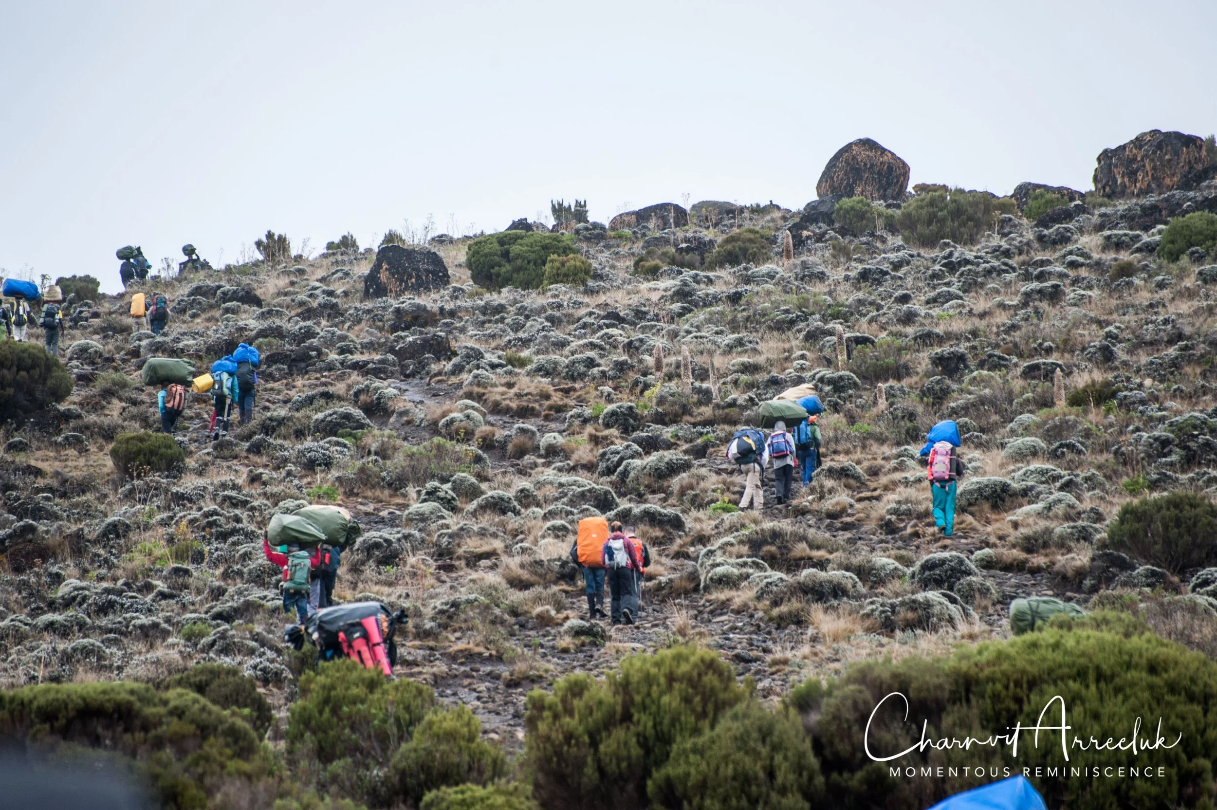 Kilimanjaro - Watermark-266_Resize.jpg