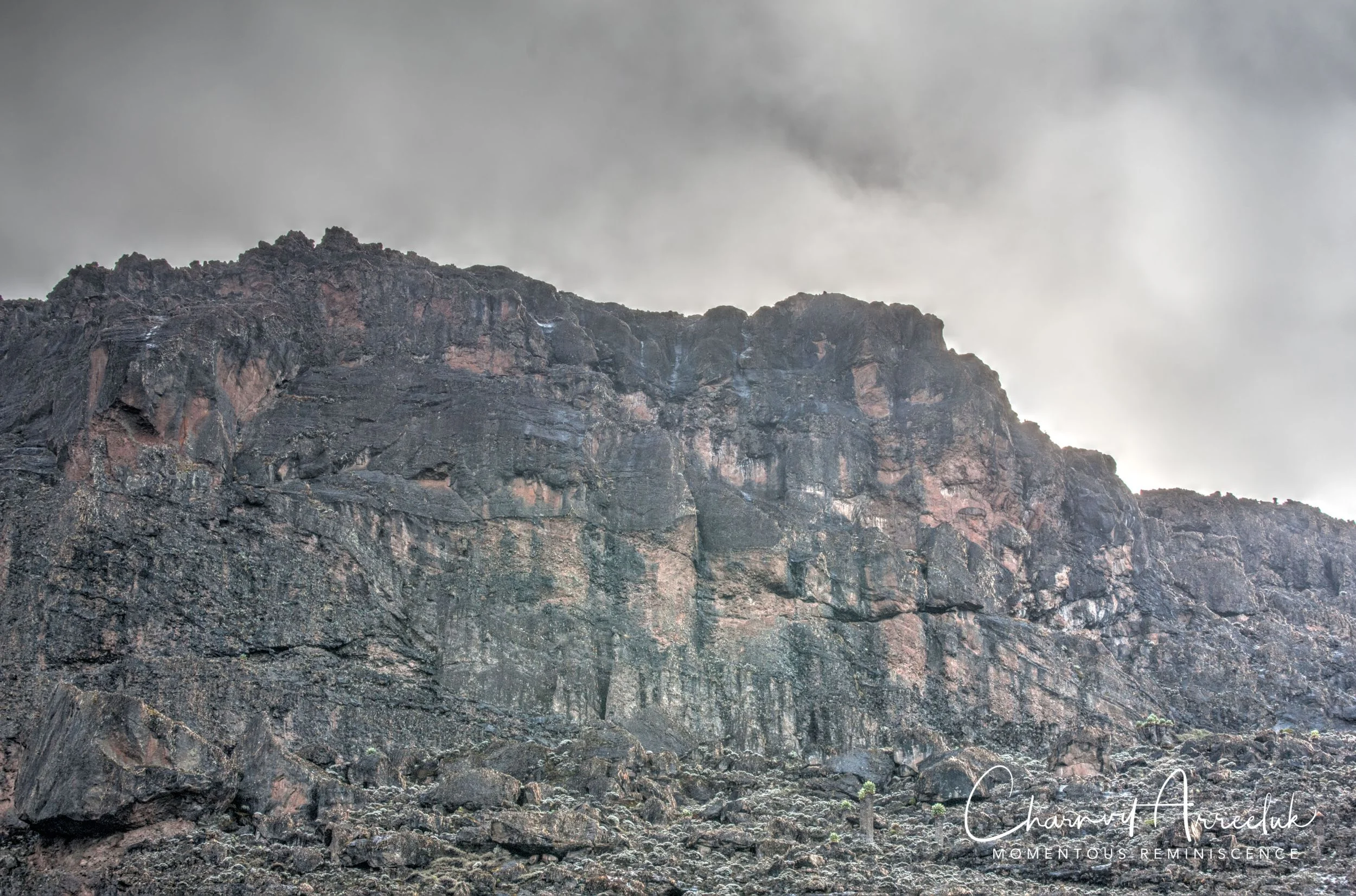 Kilimanjaro - Watermark-336_Resize.jpg
