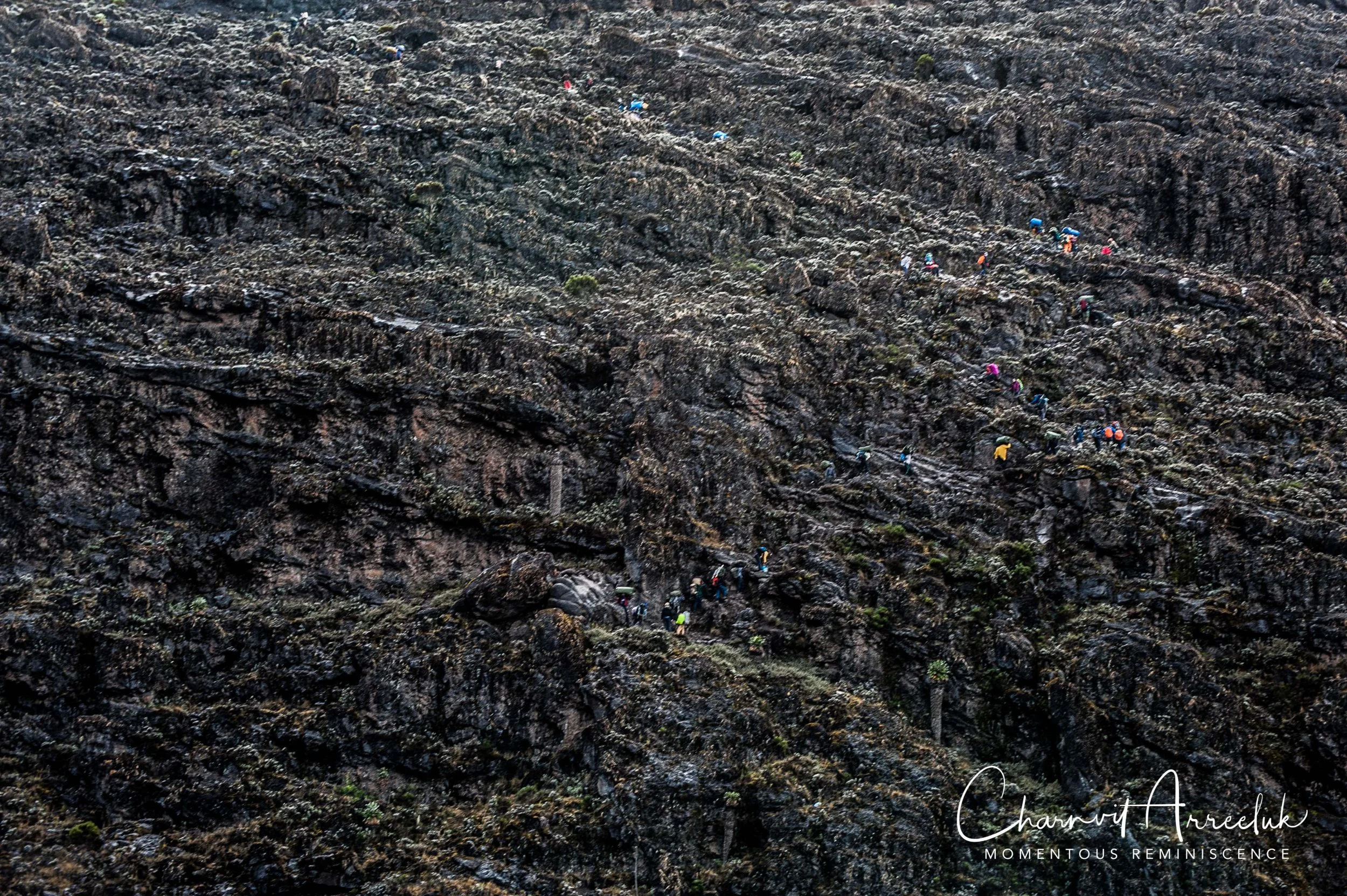 Kilimanjaro - Watermark-334_Resize.jpg