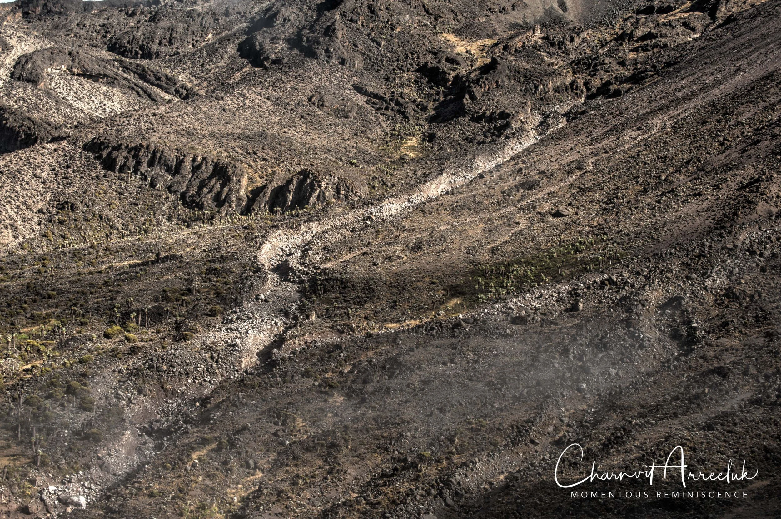 Kilimanjaro - Watermark-340_Resize.jpg