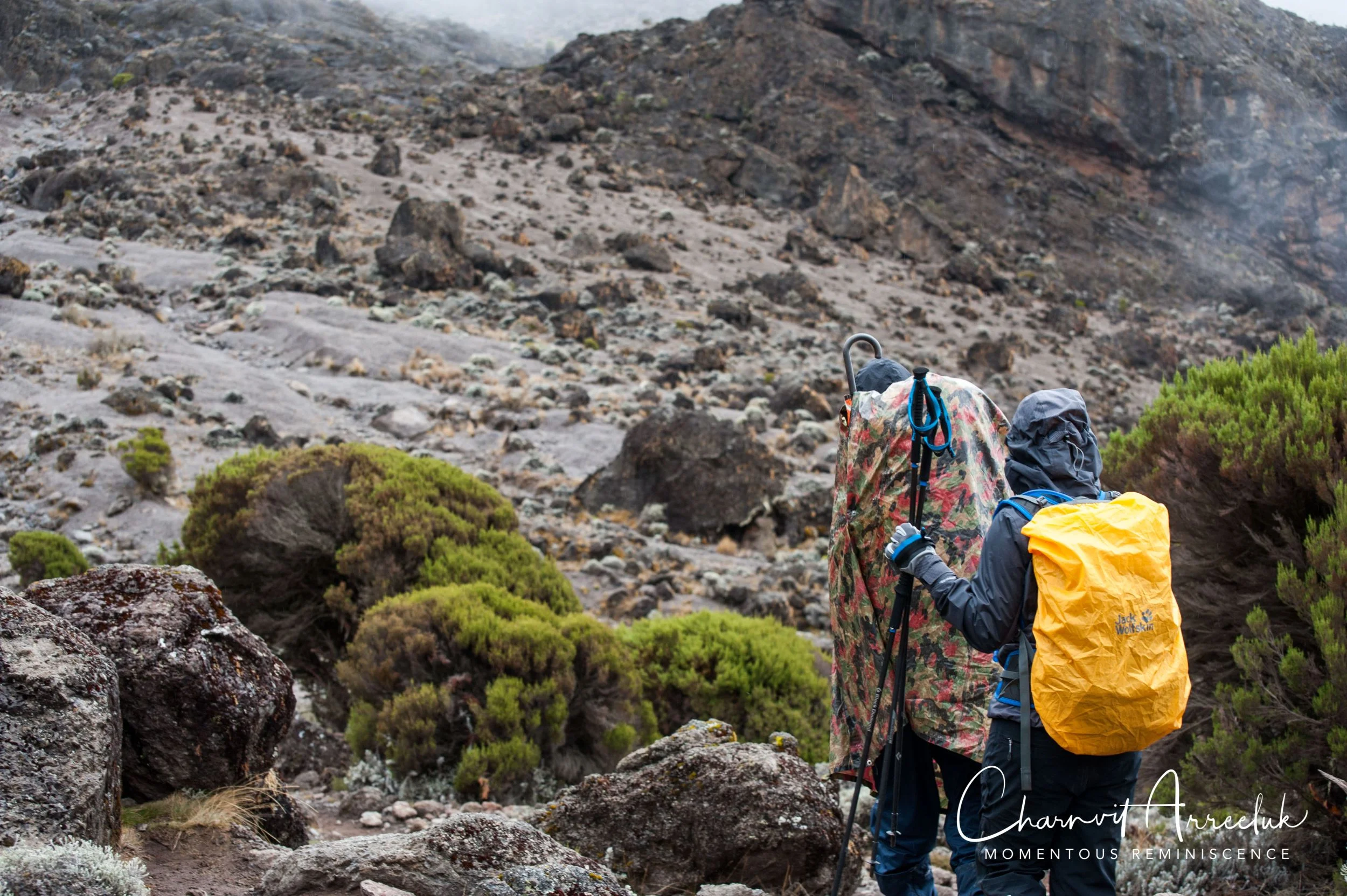 Kilimanjaro - Watermark-351_Resize.jpg