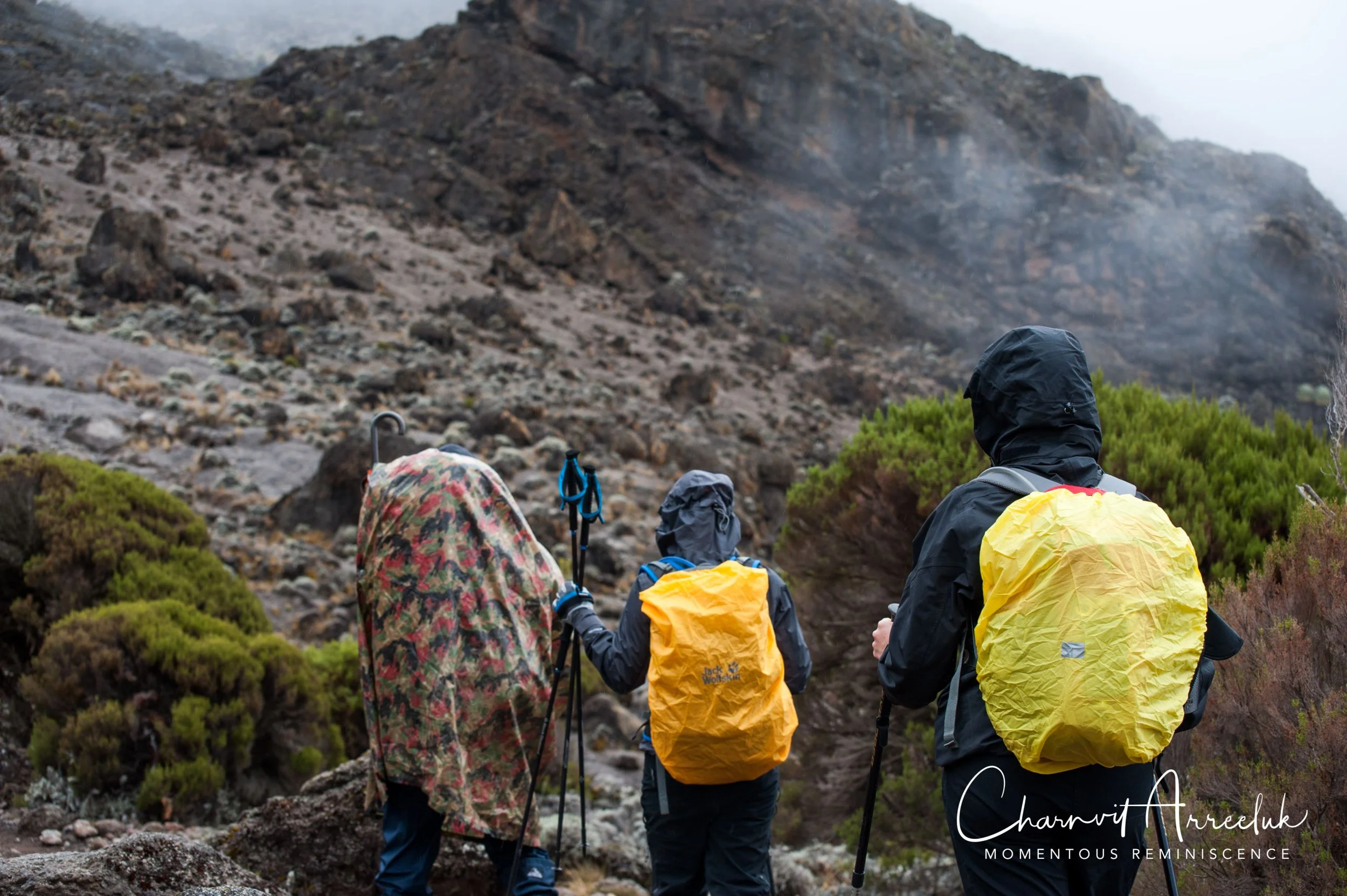 Kilimanjaro - Watermark-352_Resize.jpg