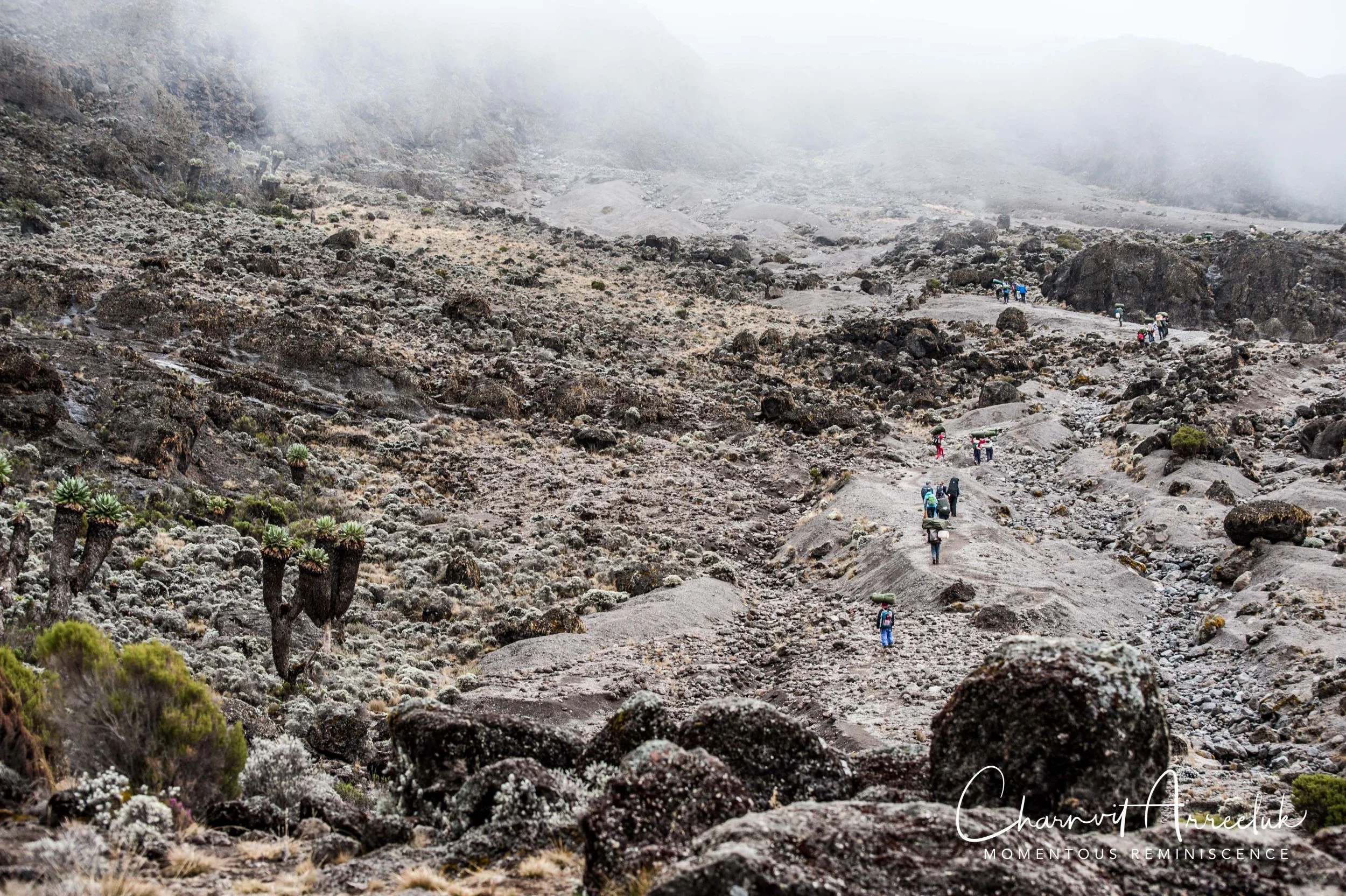 Kilimanjaro - Watermark-354_Resize.jpg
