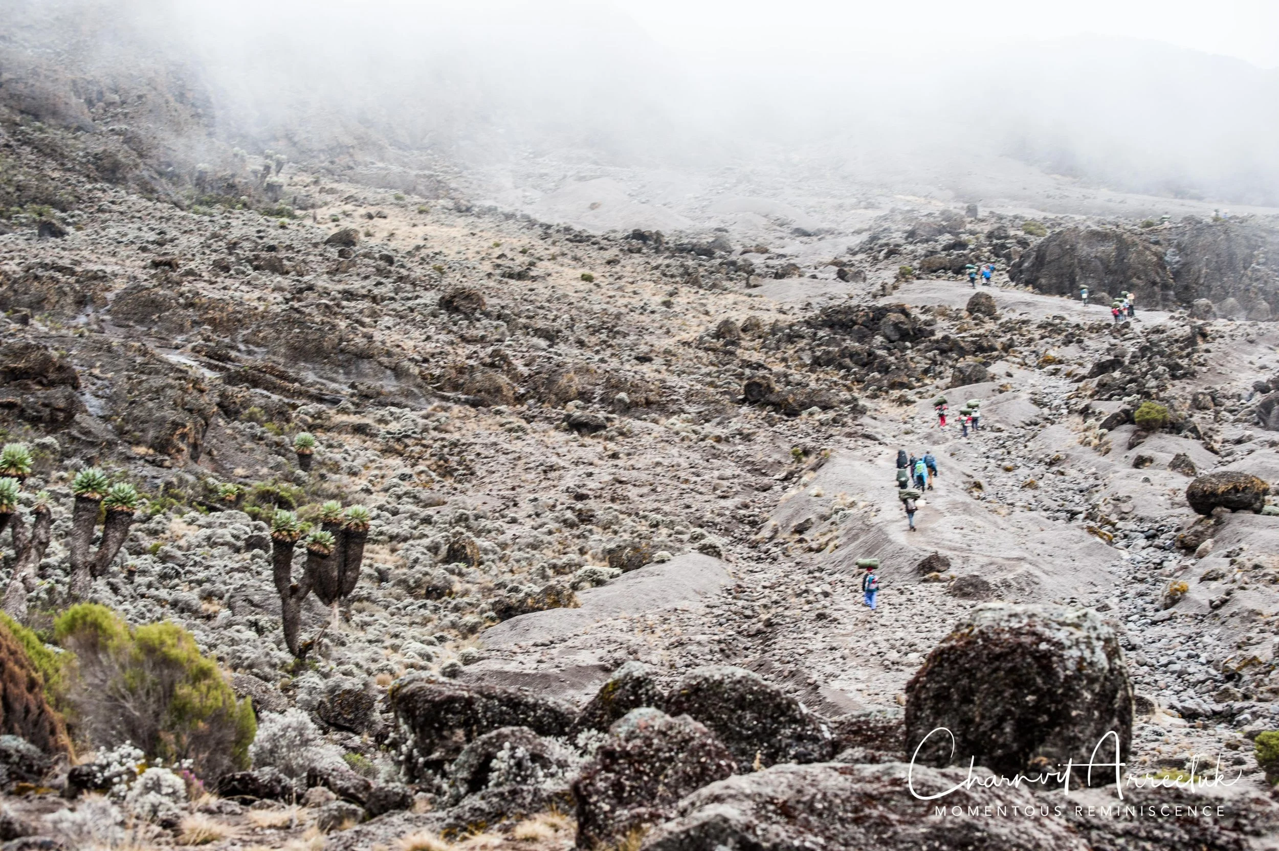 Kilimanjaro - Watermark-356_Resize.jpg
