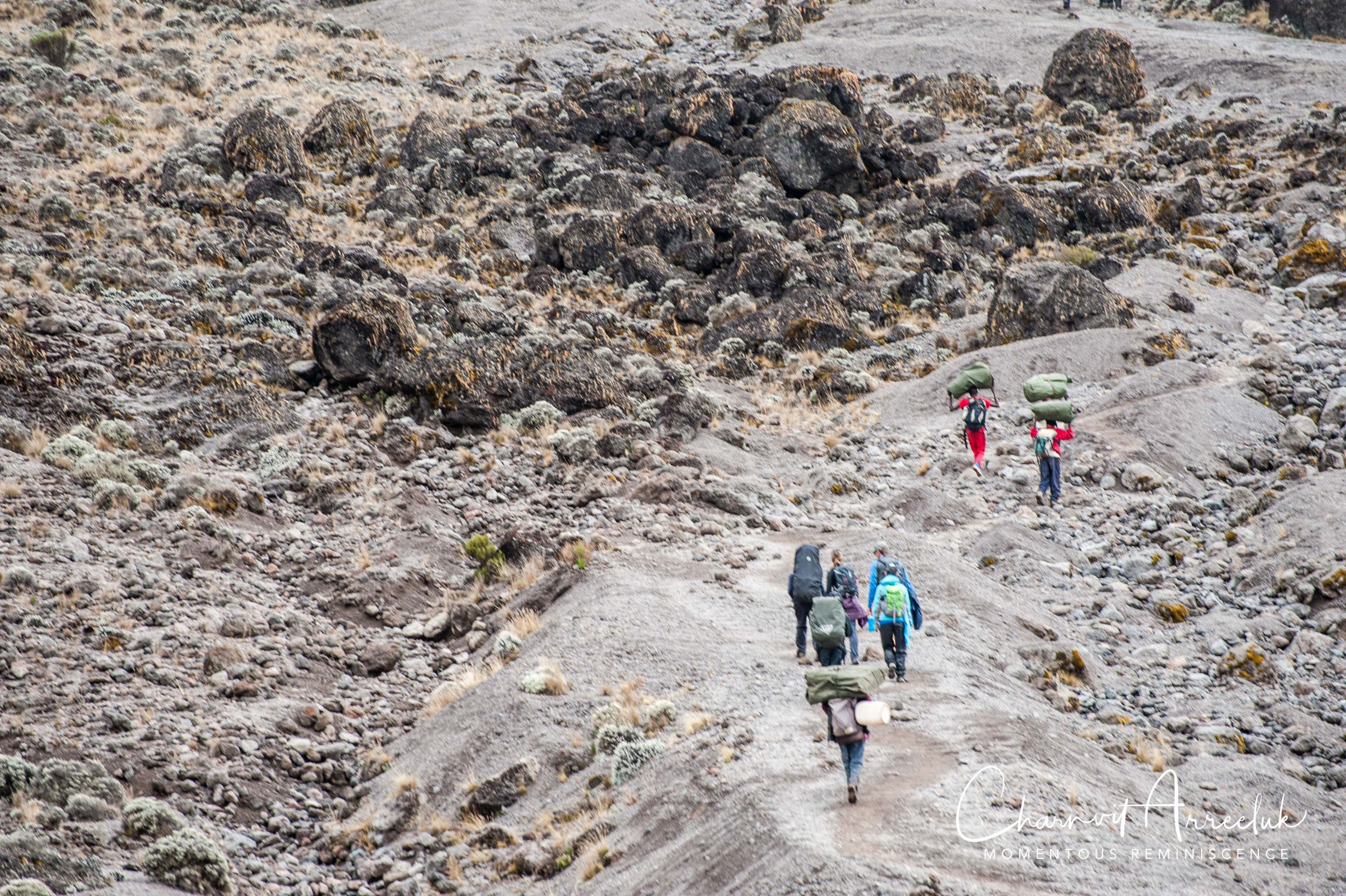 Kilimanjaro - Watermark-357_Resize.jpg