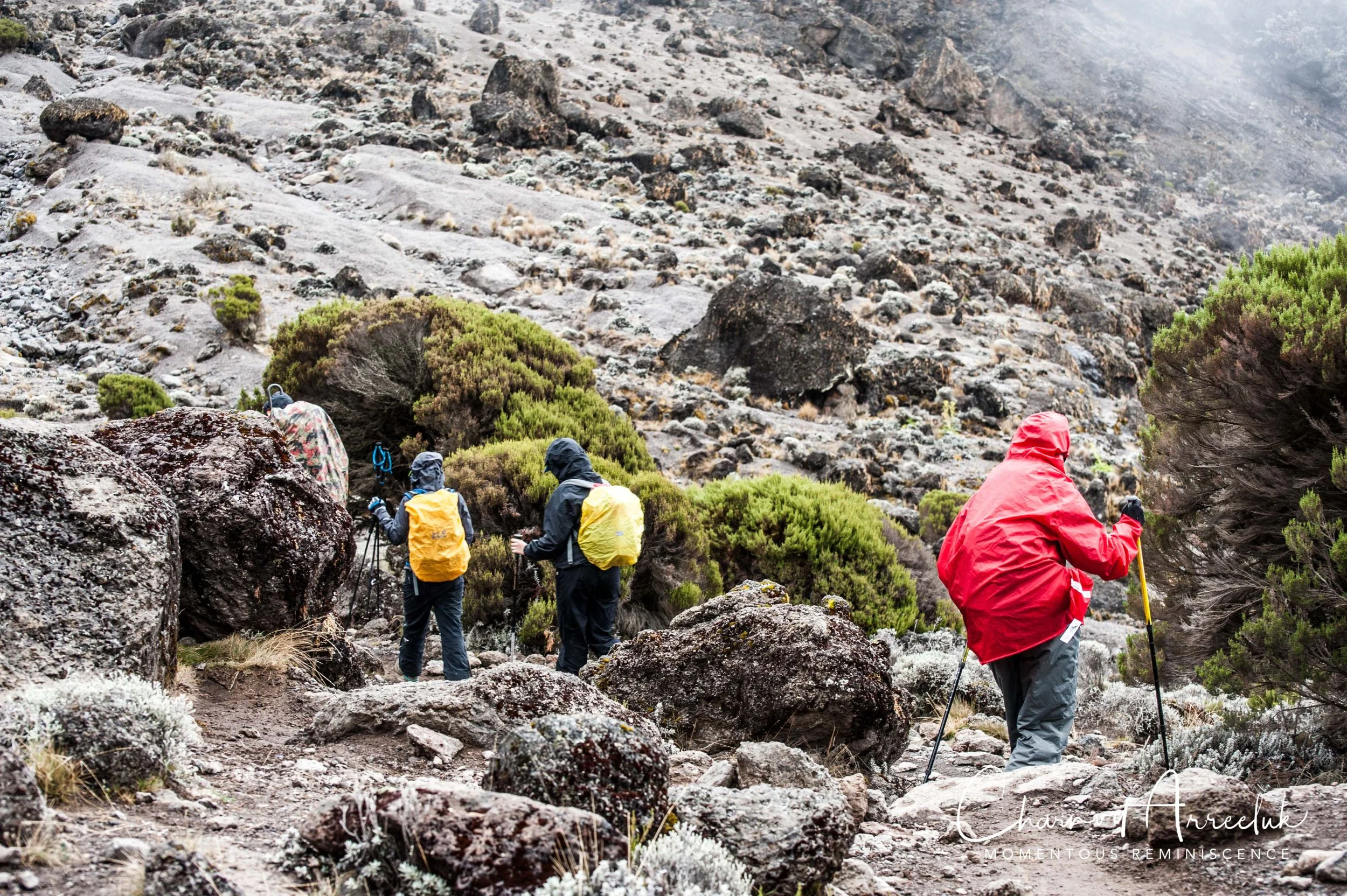 Kilimanjaro - Watermark-358_Resize.jpg