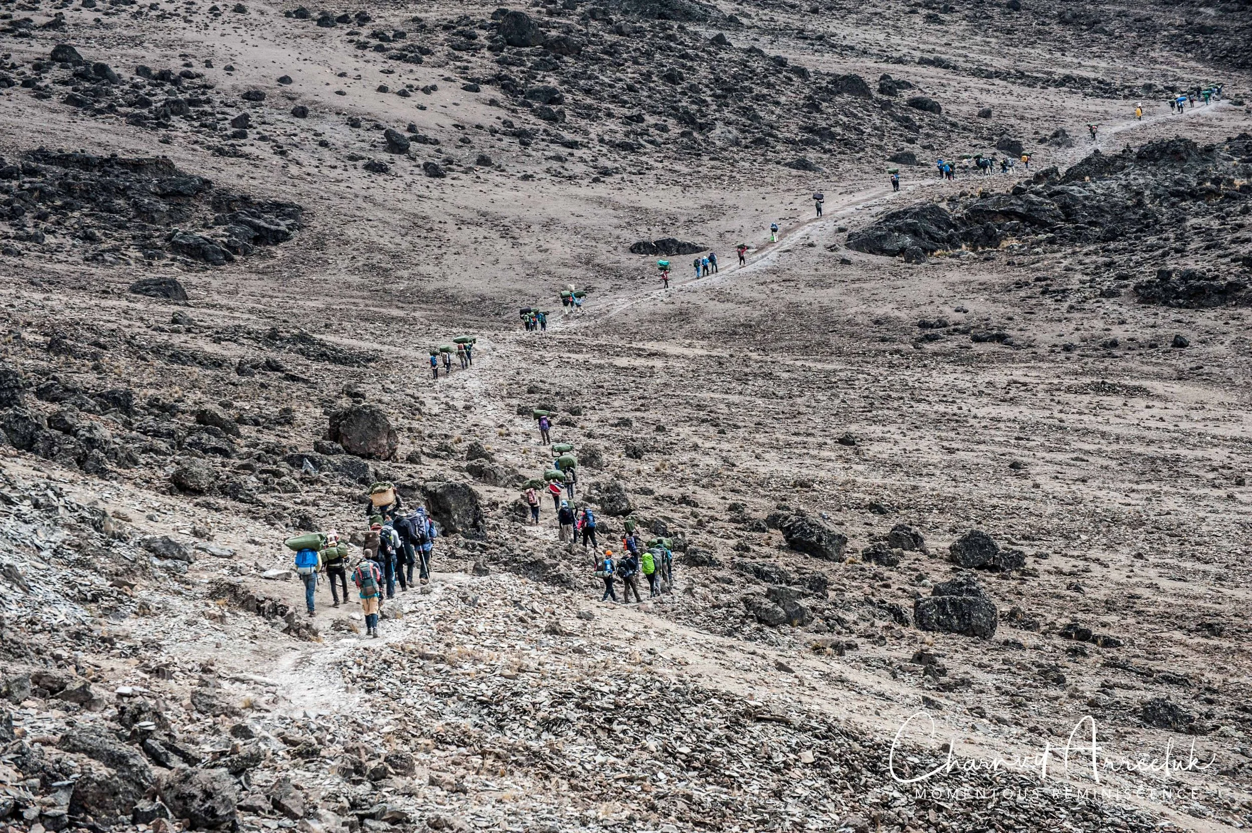 Kilimanjaro - Watermark-435_Resize.jpg