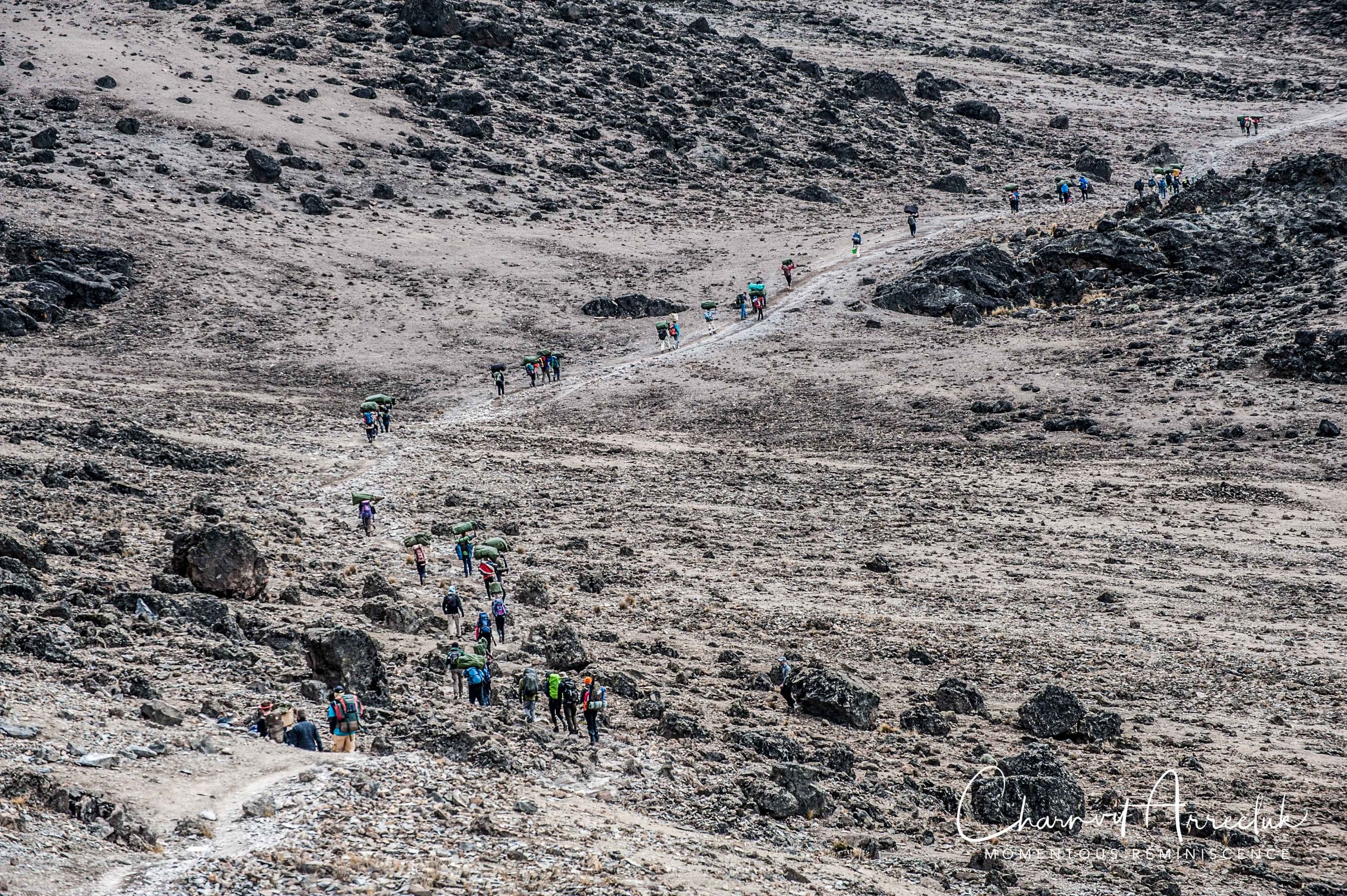 Kilimanjaro - Watermark-443_Resize.jpg