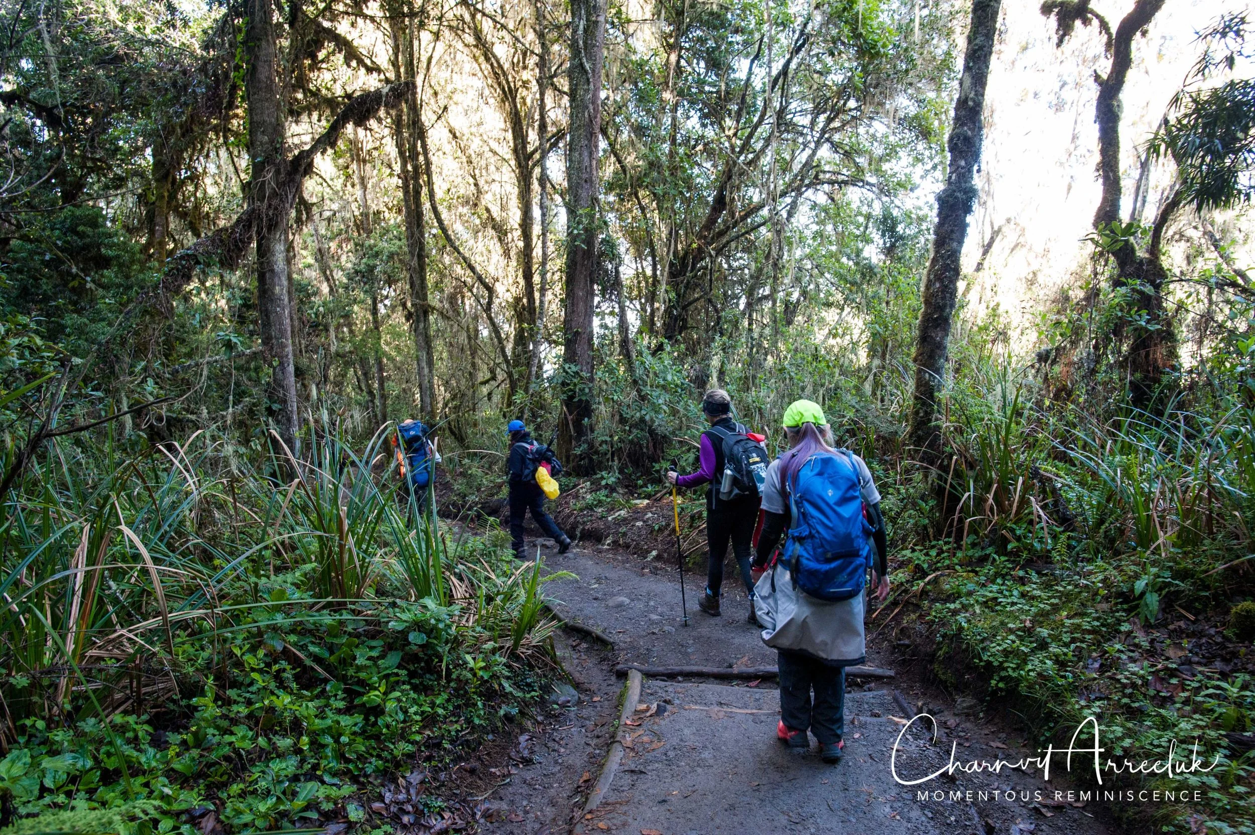 Kilimanjaro - Watermark-562_Resize.jpg