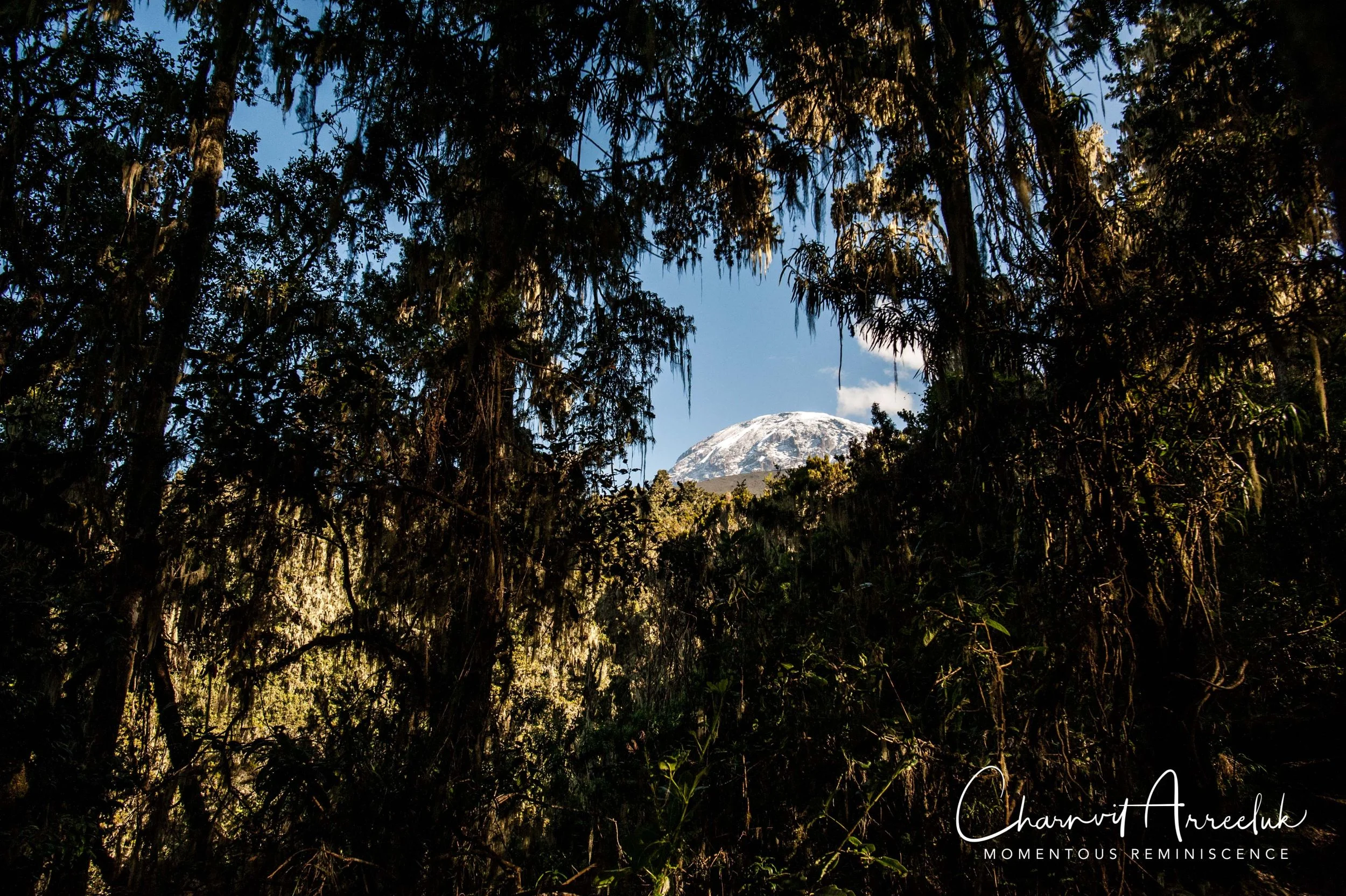 Kilimanjaro - Watermark-564_Resize.jpg