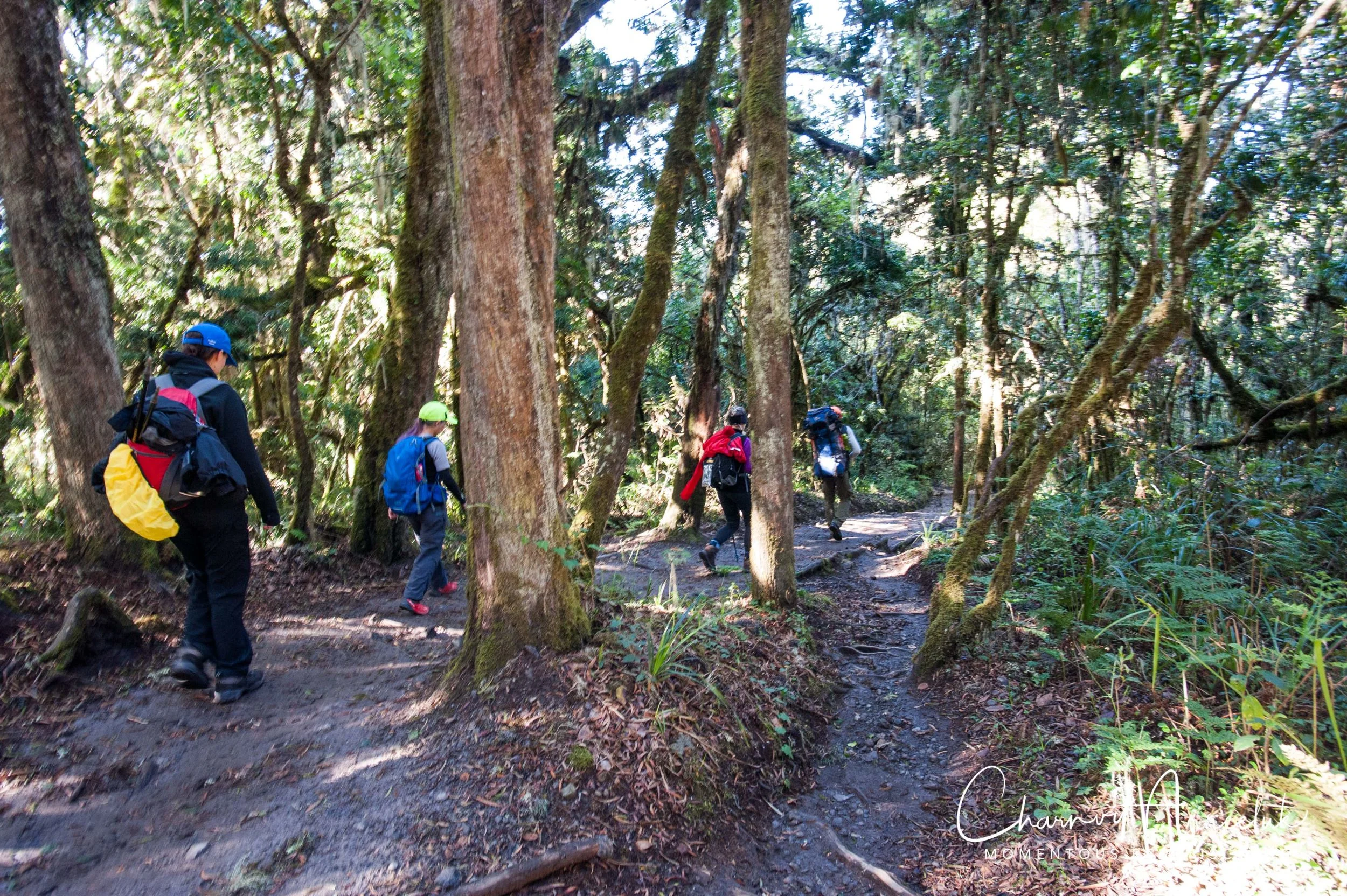 Kilimanjaro - Watermark-565_Resize.jpg