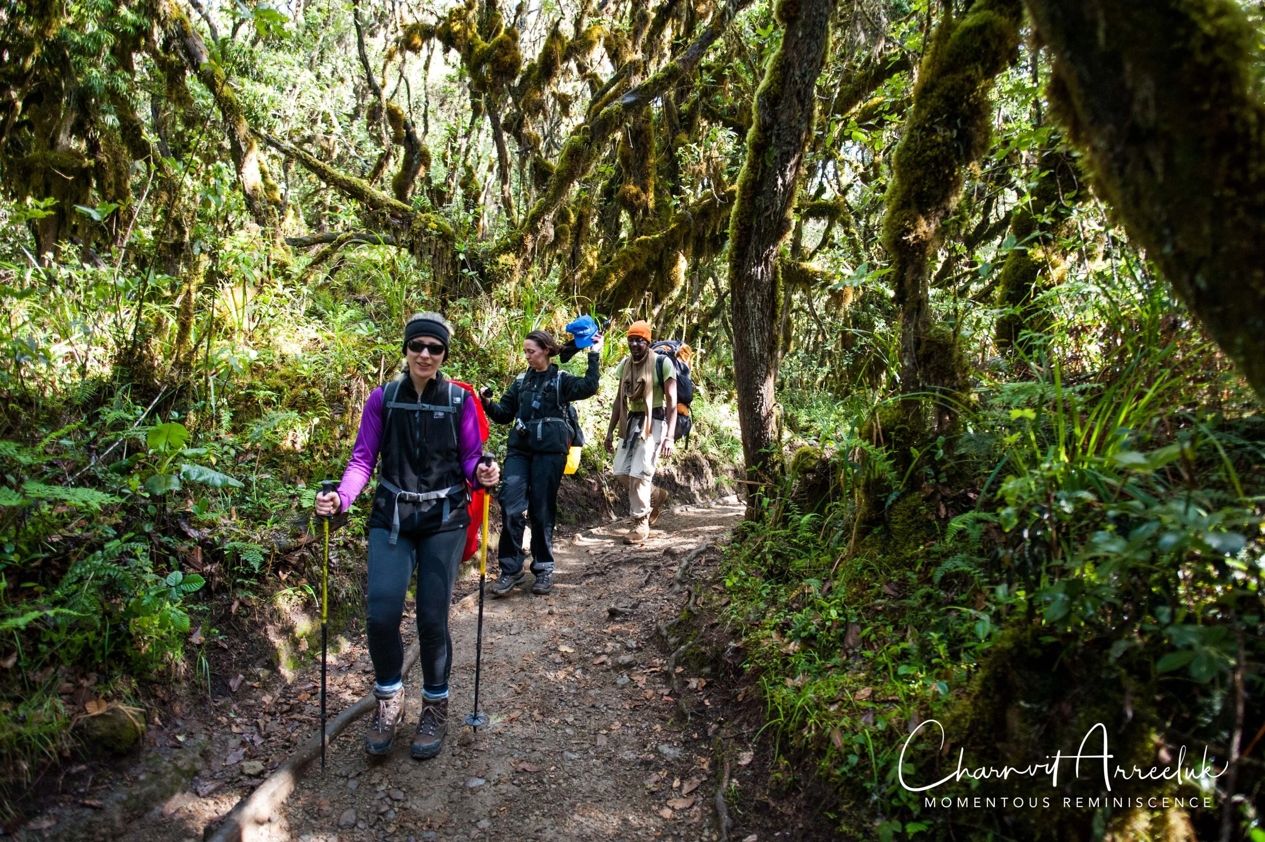 Kilimanjaro - Watermark-578_Resize.jpg