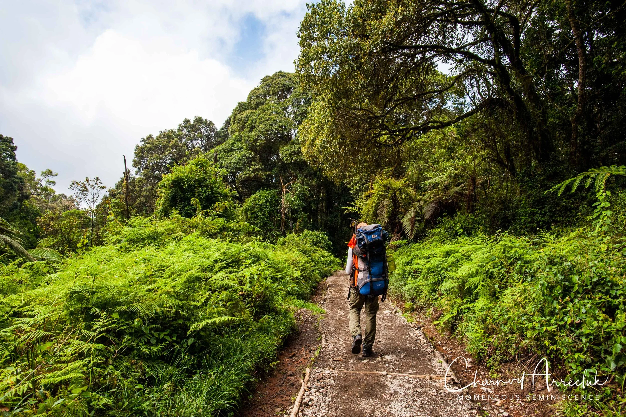 Kilimanjaro - Watermark-598_Resize.jpg