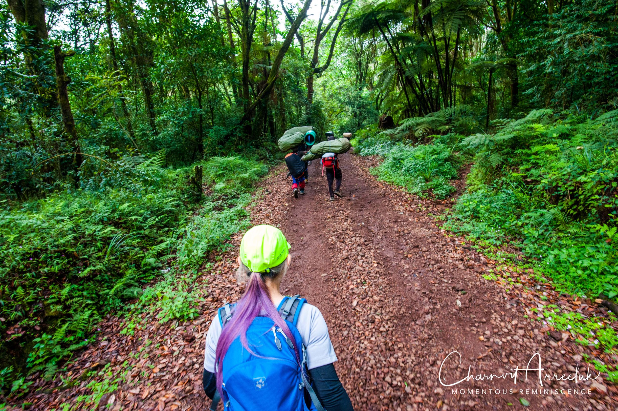 Kilimanjaro - Watermark-601_Resize.jpg