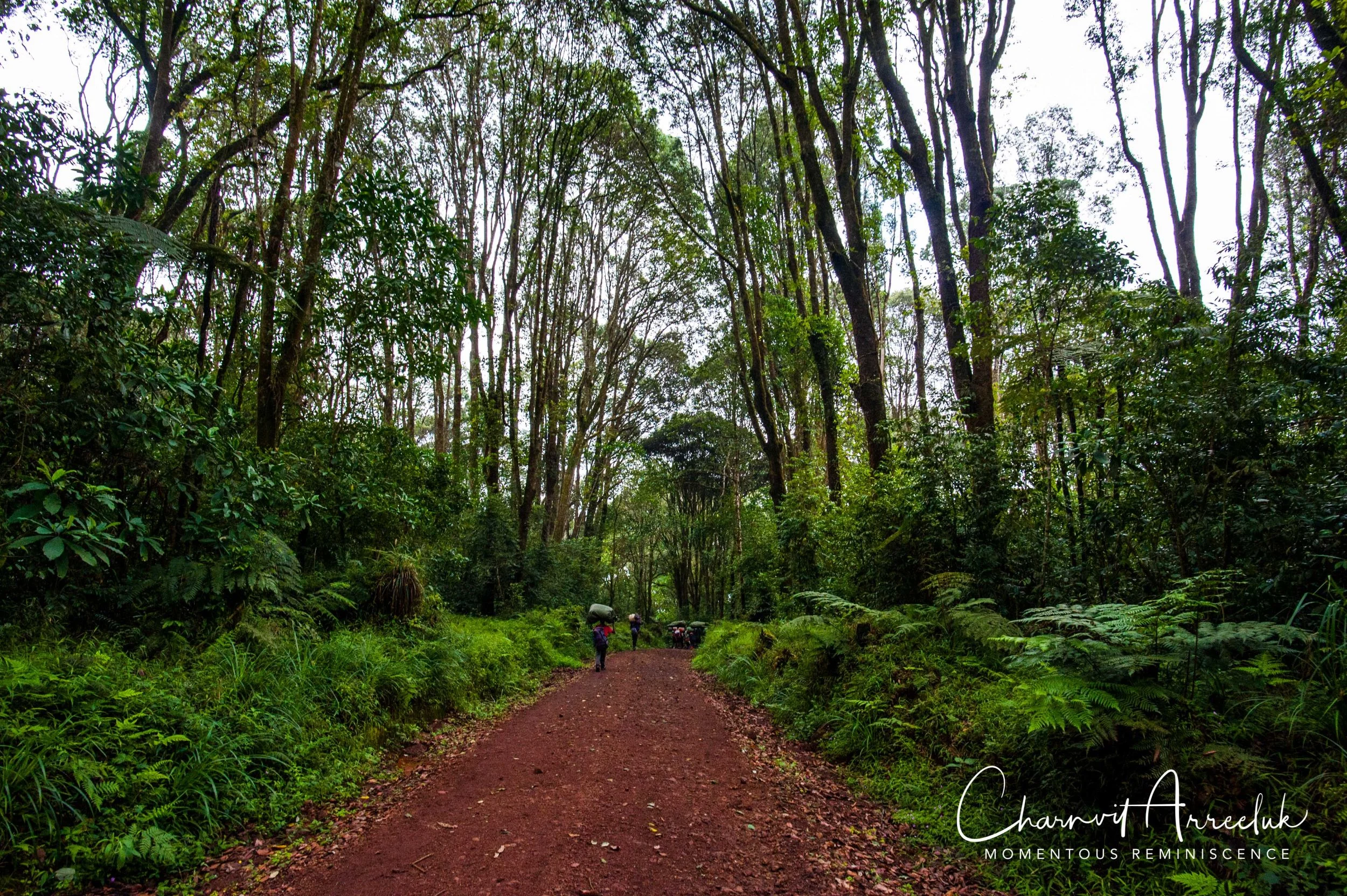 Kilimanjaro - Watermark-605_Resize.jpg