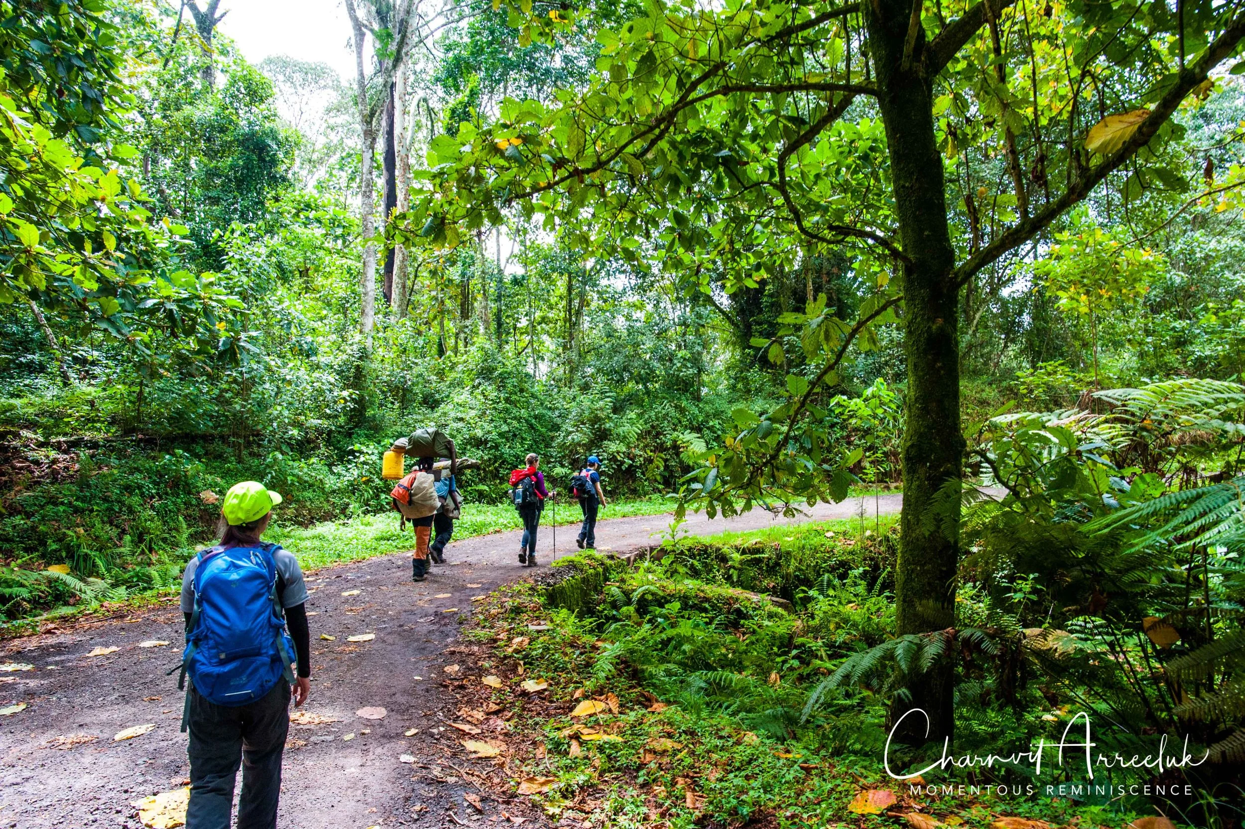 Kilimanjaro - Watermark-612_Resize.jpg