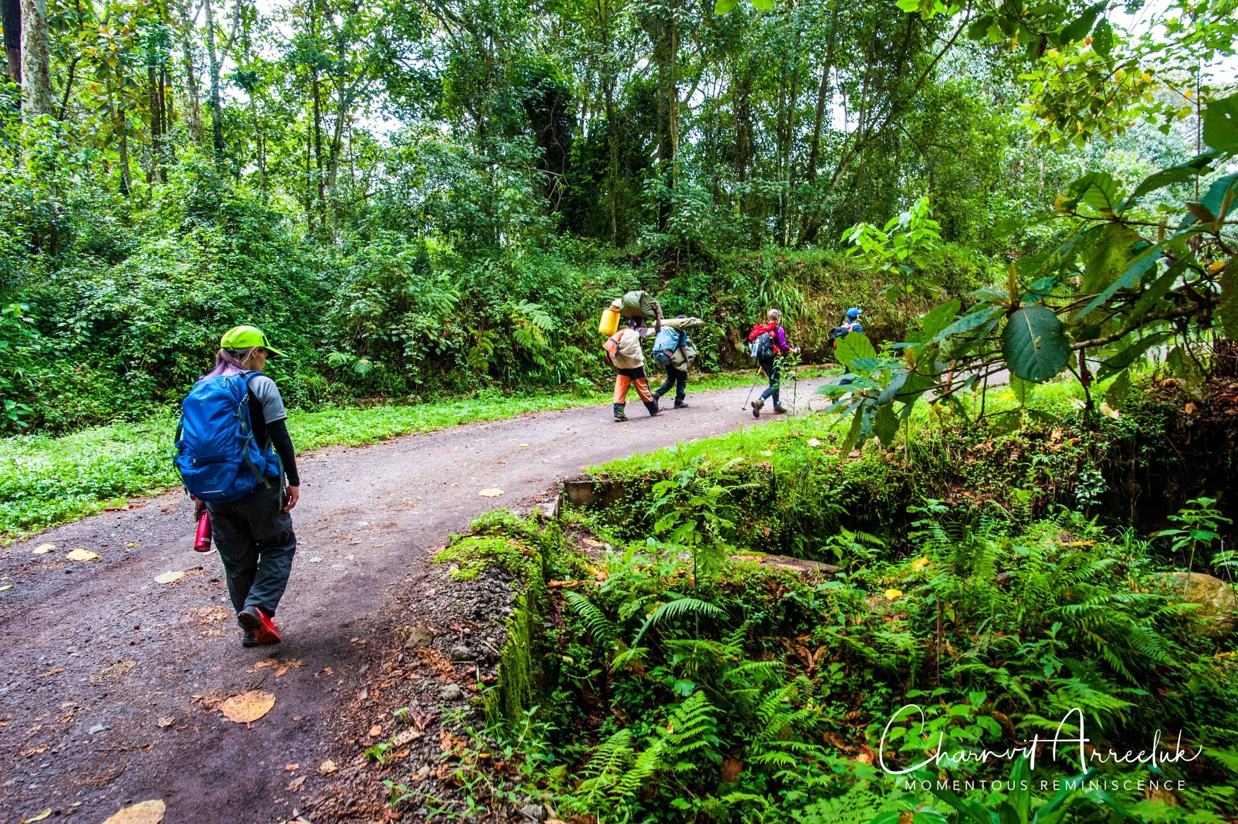 Kilimanjaro - Watermark-616_Resize.jpg