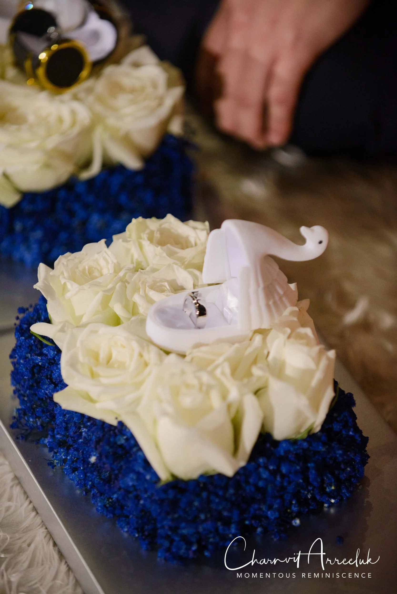 Gae Vit Engagement-367_Resize.jpg