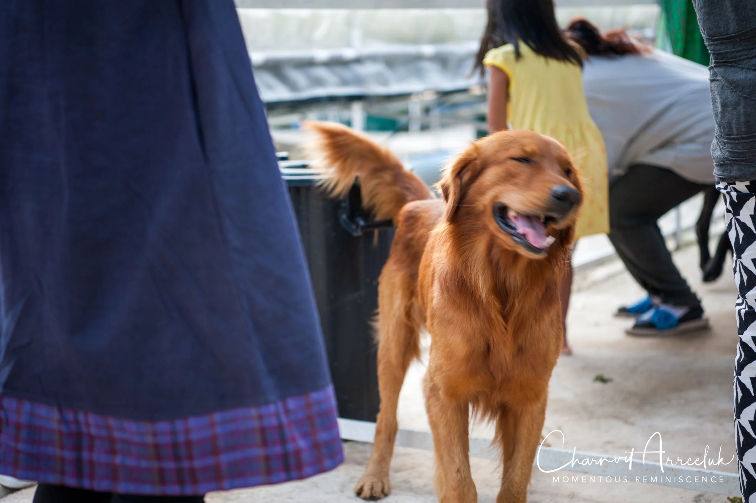 Petchaburi New Year 2018-161_Resize.jpg