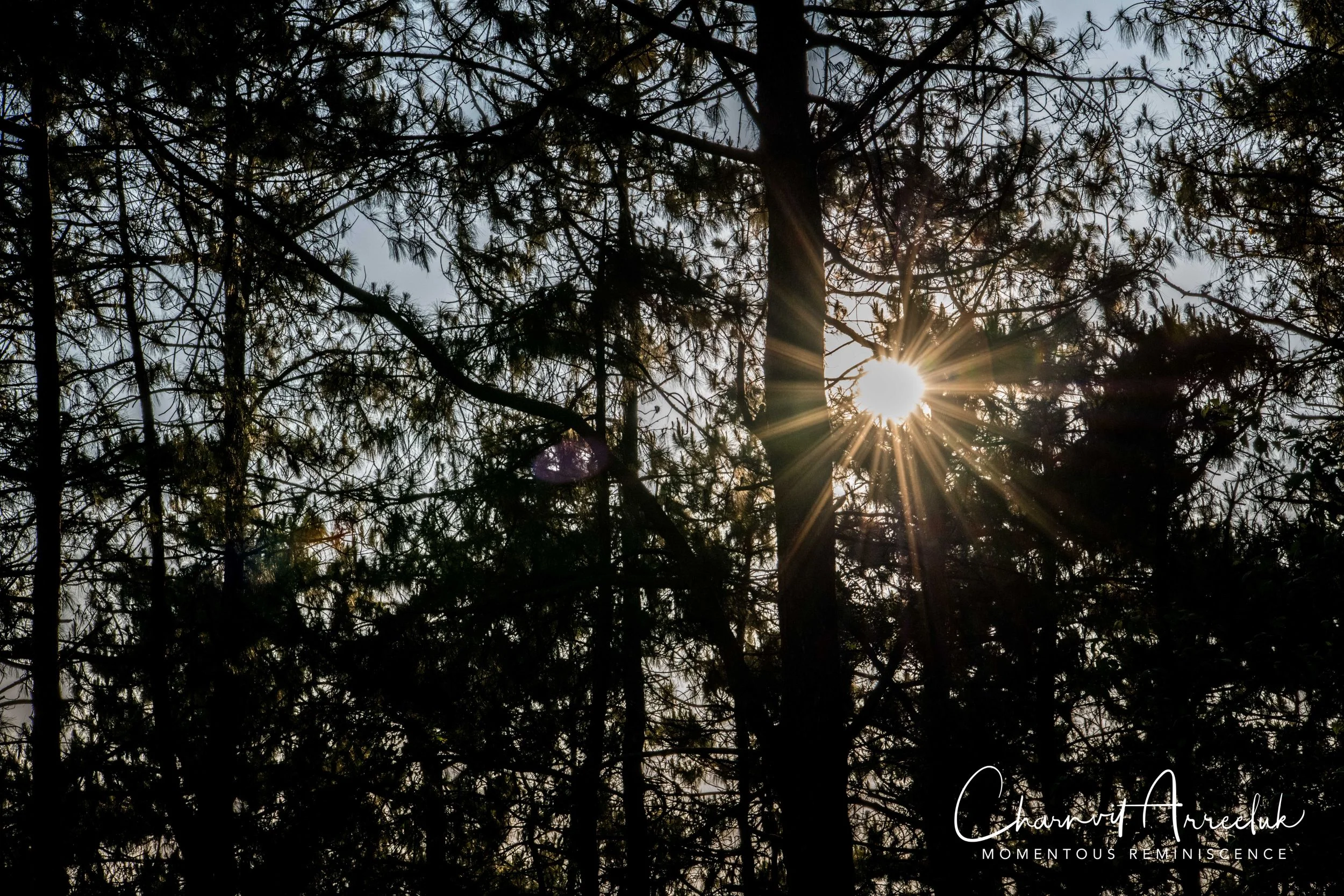 Chiang Rai - PhuChiFah DoiPahtang-194_Resize.jpg