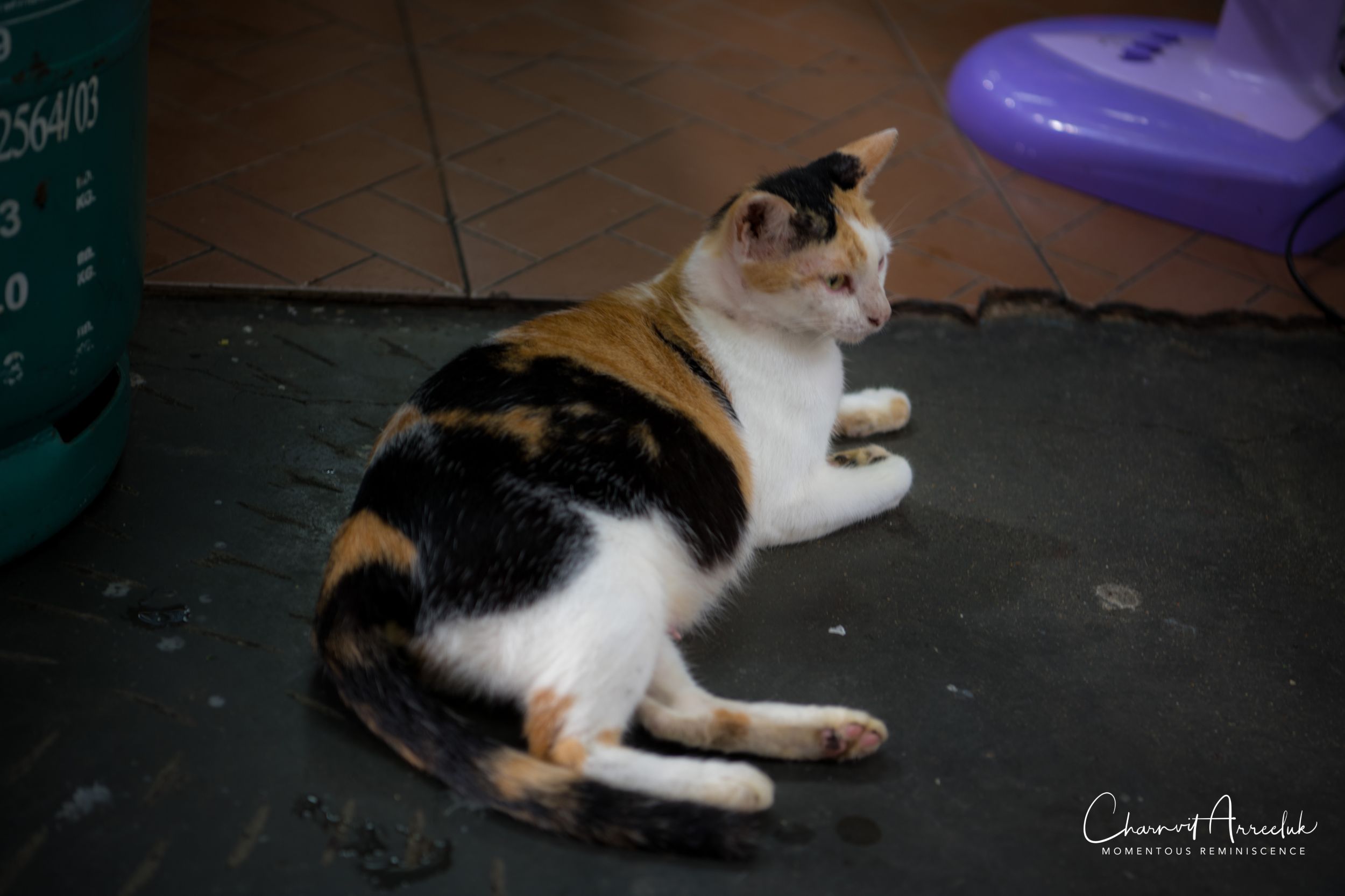 2018-09-01 - Kwan Riam Market-13_Resize.jpg